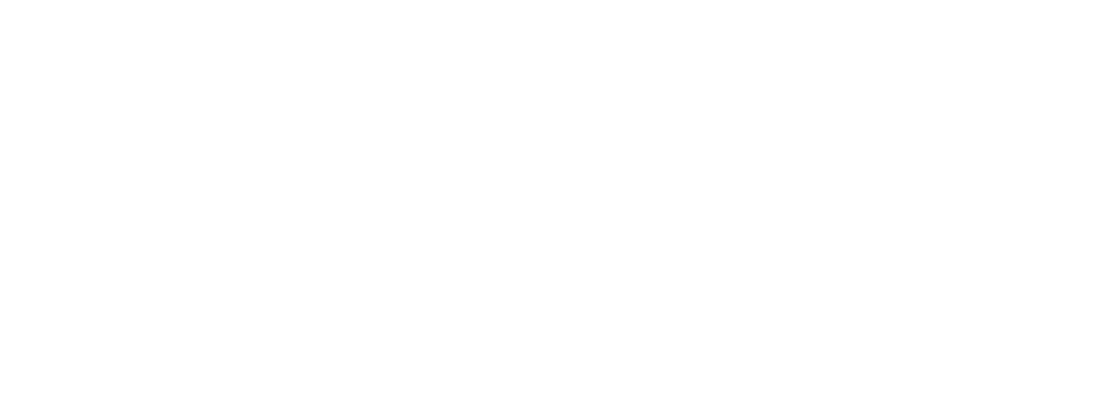 Double Z Design logo