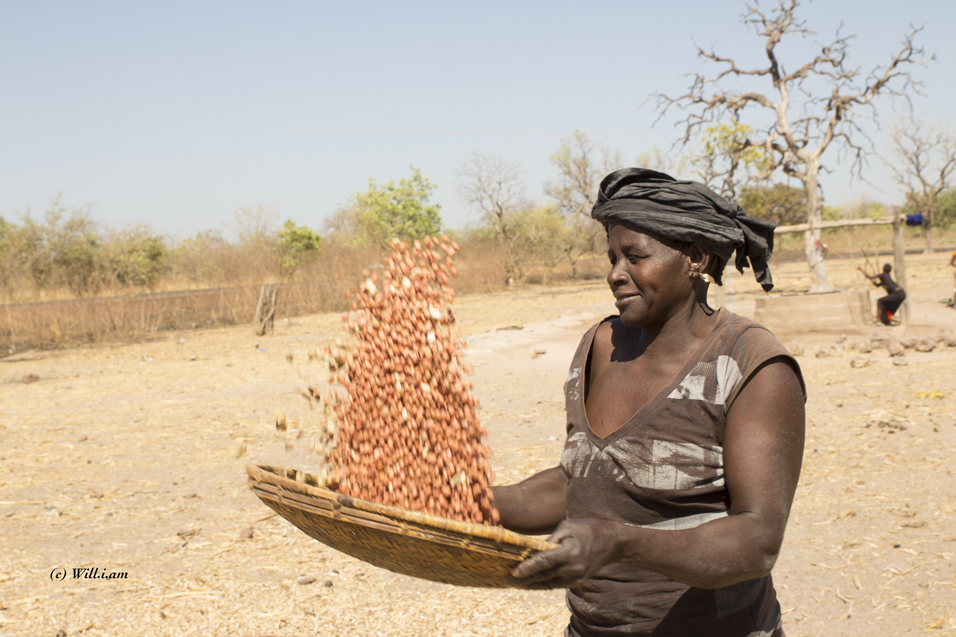 Woman shelling peanuts - Senegal (Dar Salam) 2016