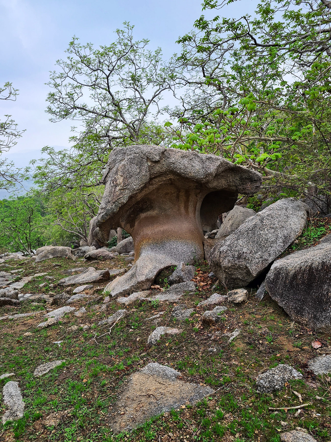 The stone mushroom