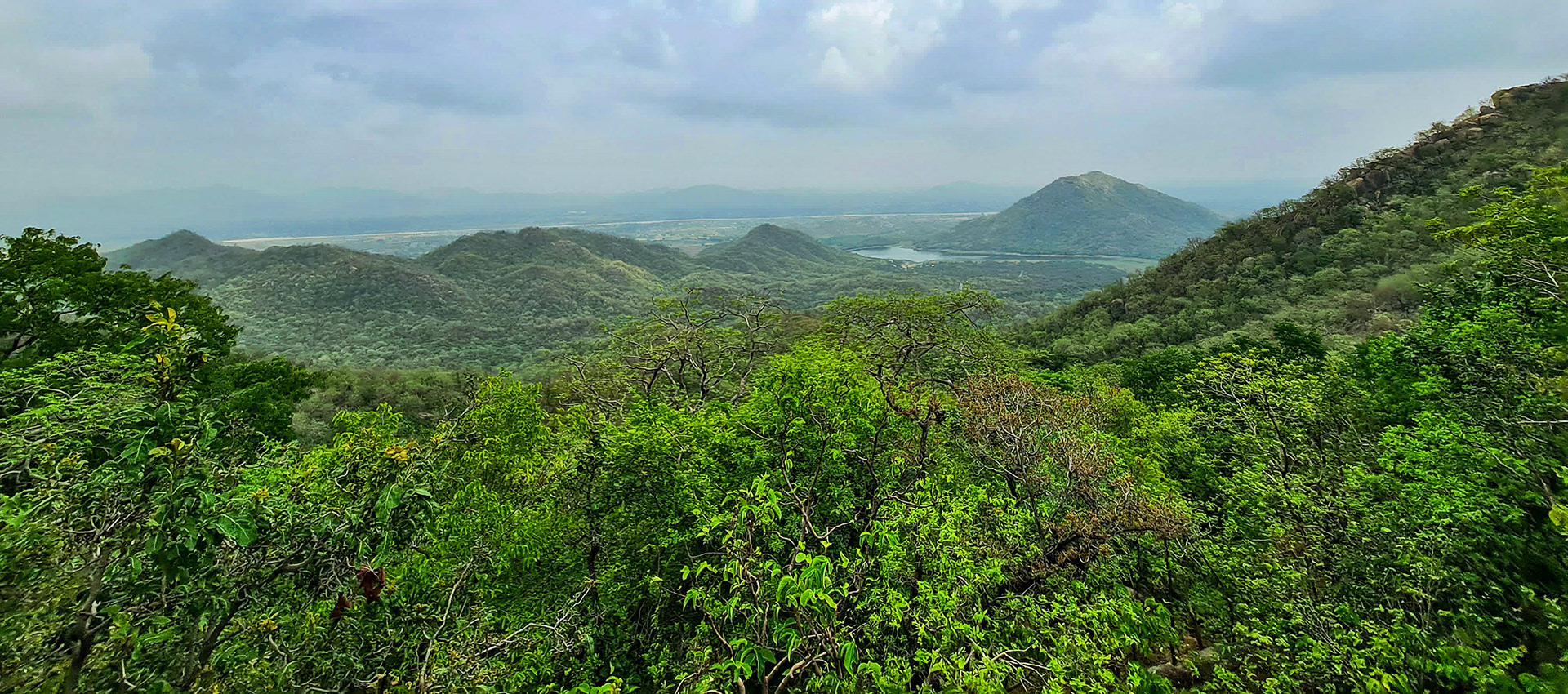 An amazing view of the lush forest and cascading waterfall at Jessore Sloth Bear Sanctuary, Jessore, Gujarat—June 2024