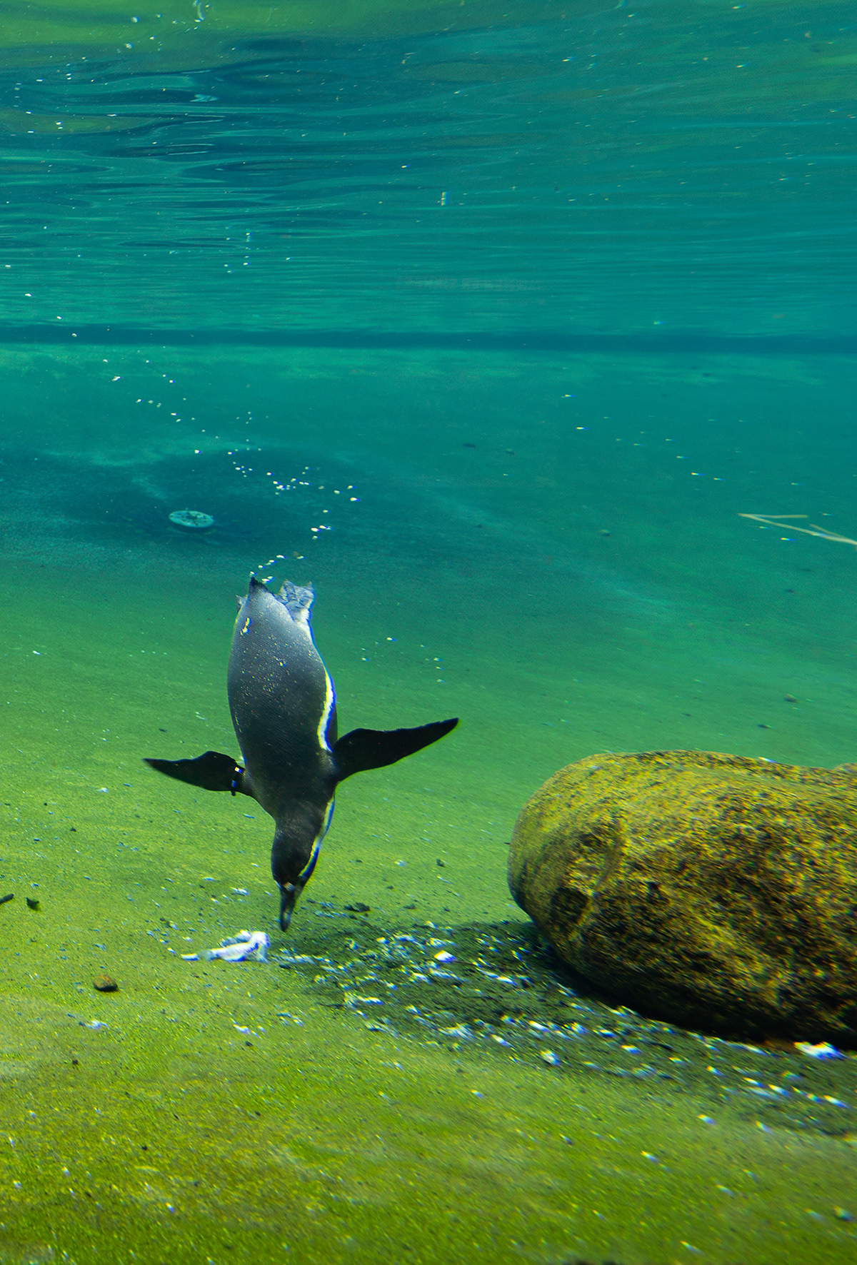 ATLANTIC SEA-PARK, NORWAY