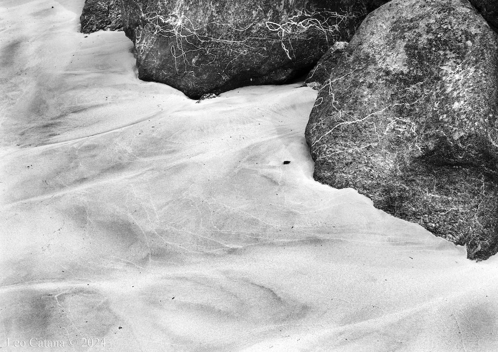 Detail from a beach, Fredvang, Lofoten, Norway. Sand, rocks and veins. Black and white image.