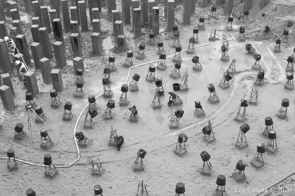 Urban roots. This image could have been made in almost any city, but it was made in Copenhagen, Denmark. Urban landscape black and white.