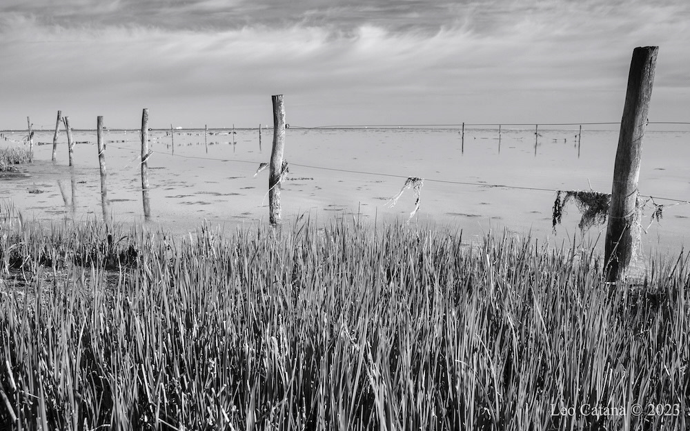 Black and white image of Søvang, Amager, Denmark. Expanse and human constructs