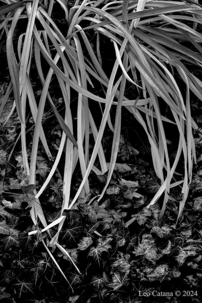 Haveselskabets Have, Frederiksberg, Denmark