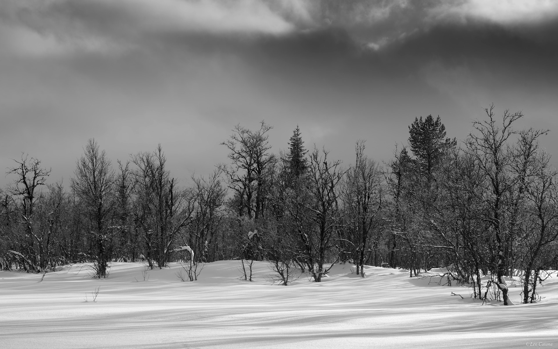 Black and white landscape photography, dormant nature
