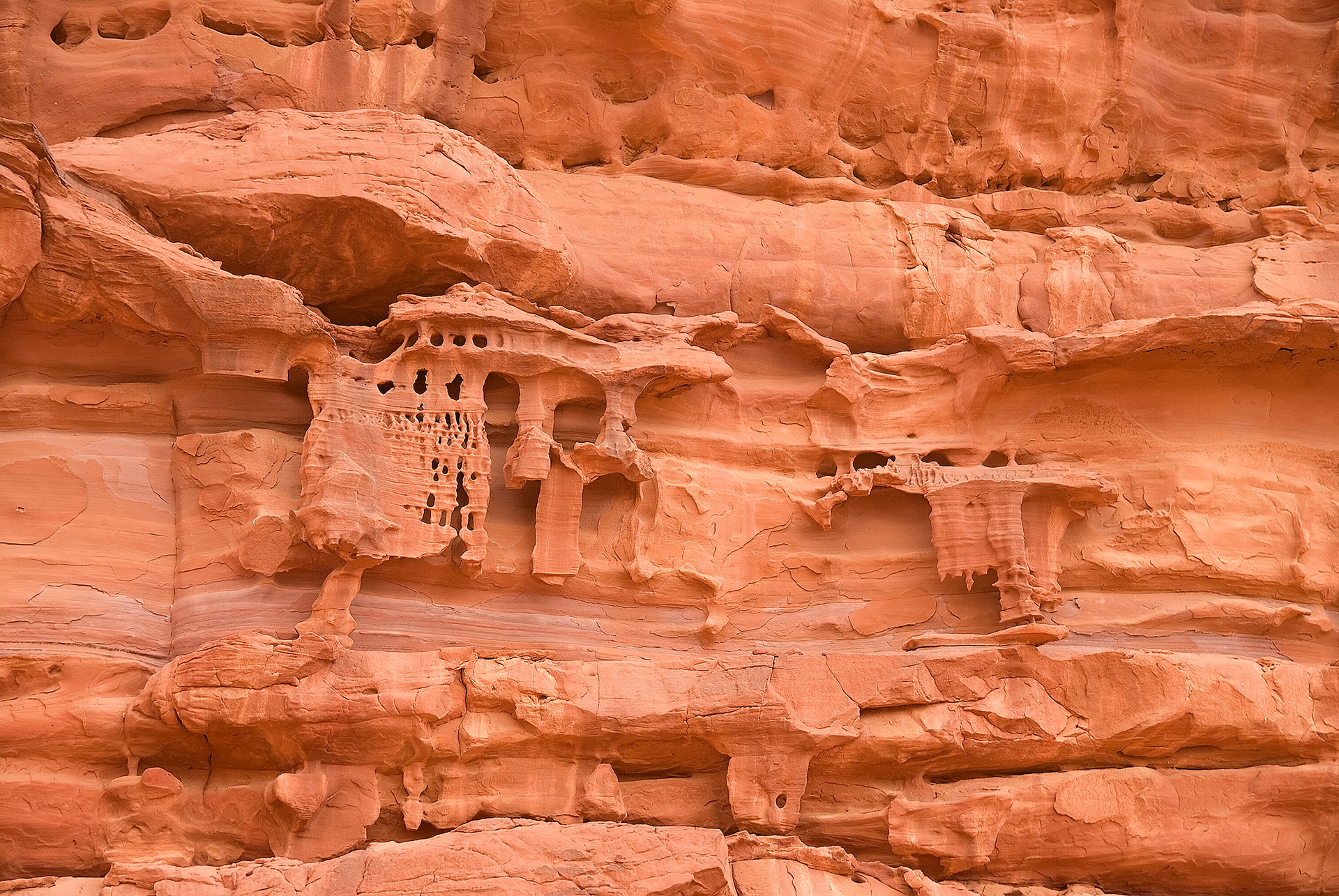 Wadi rum - Jordanie