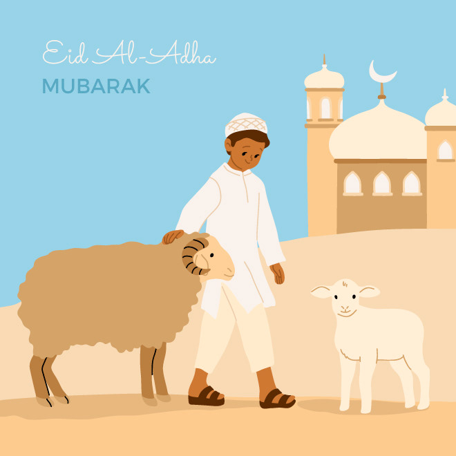 A Muslim young boy walking along with sheep