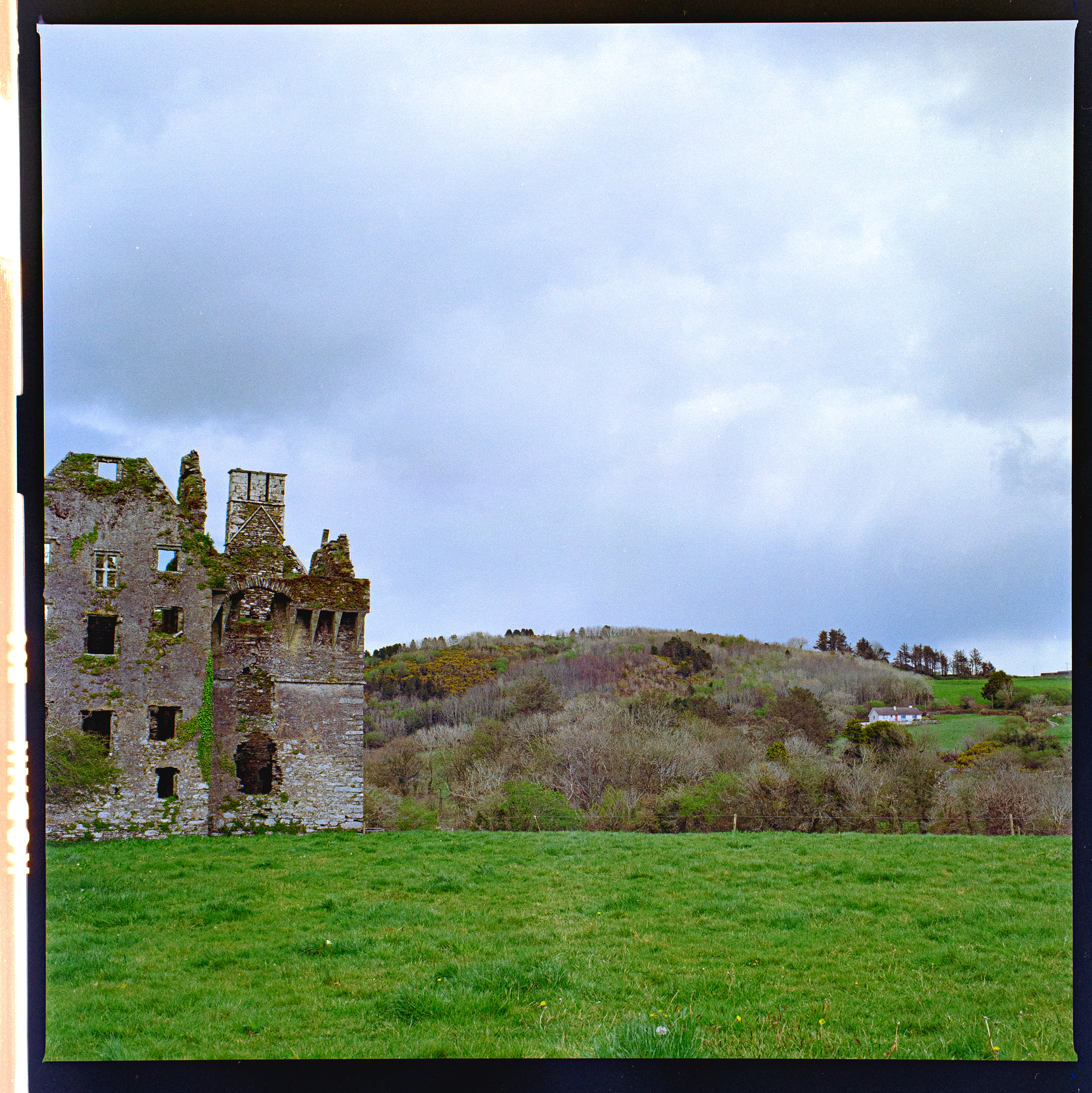Coppinger Court - Ballyvireen Ireland