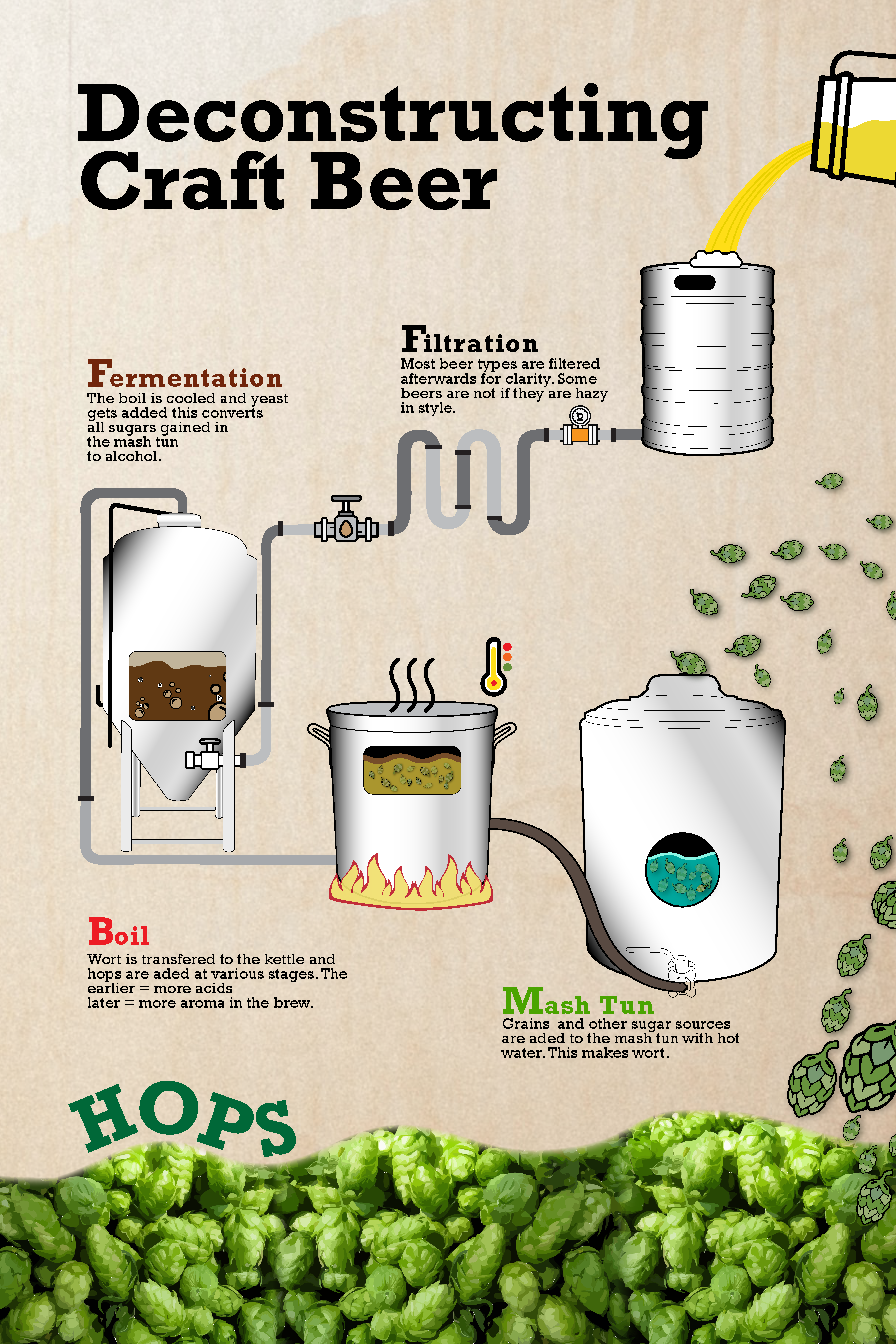 Infographic - Craft Beer