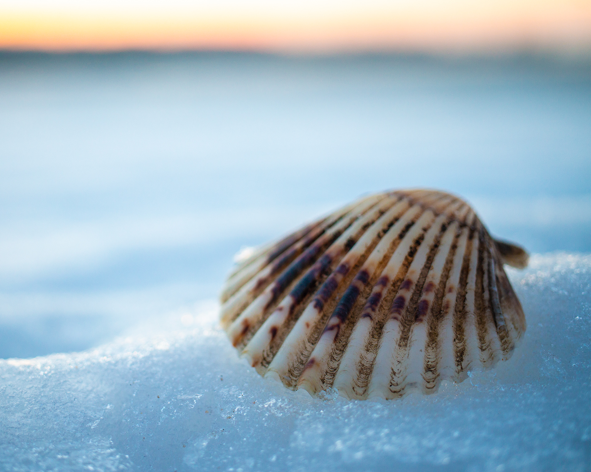 Sea Life off season