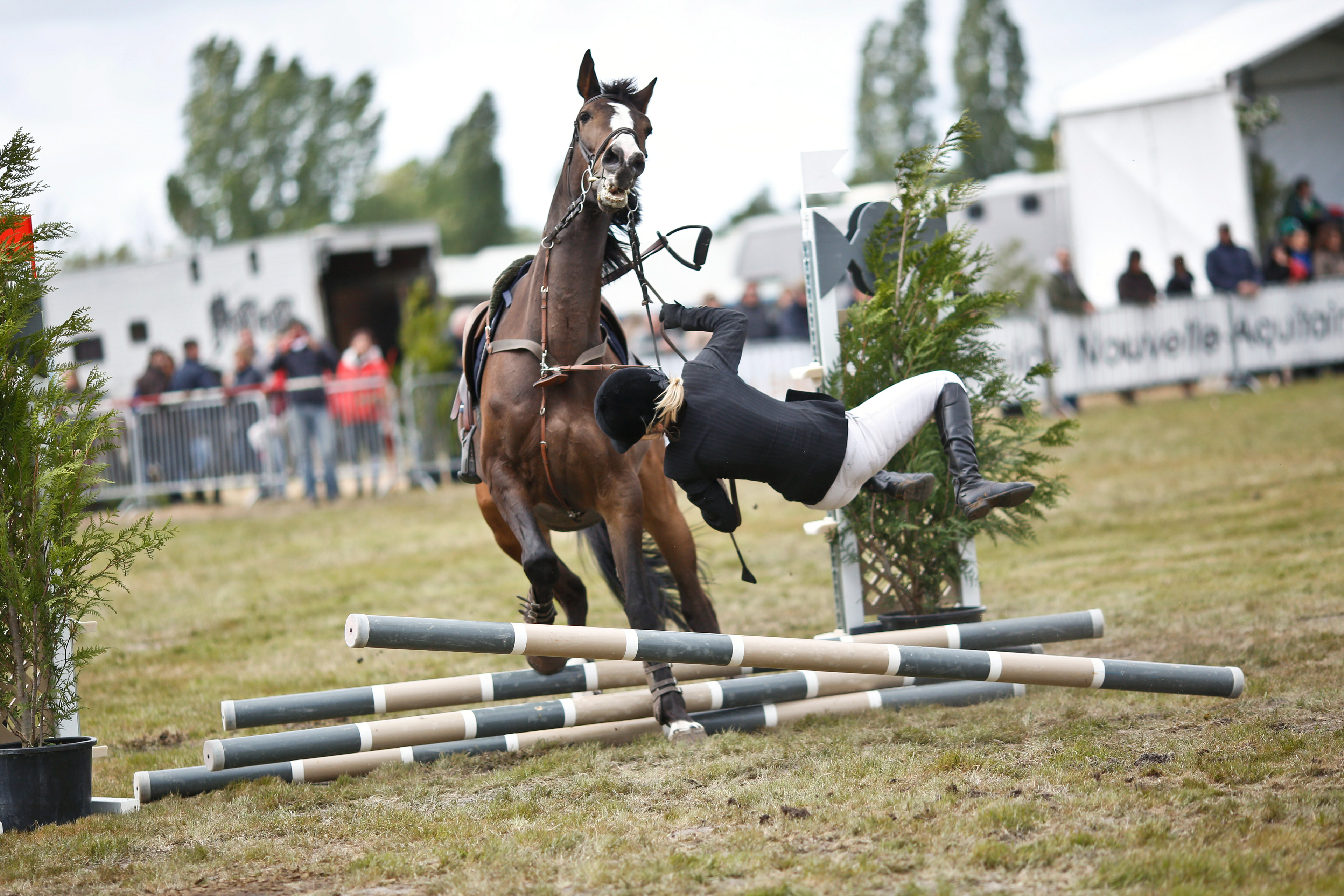 Photo événement équitation saut bordeaux cso gradignan jumping  chute  cheval cavalier  obstacle