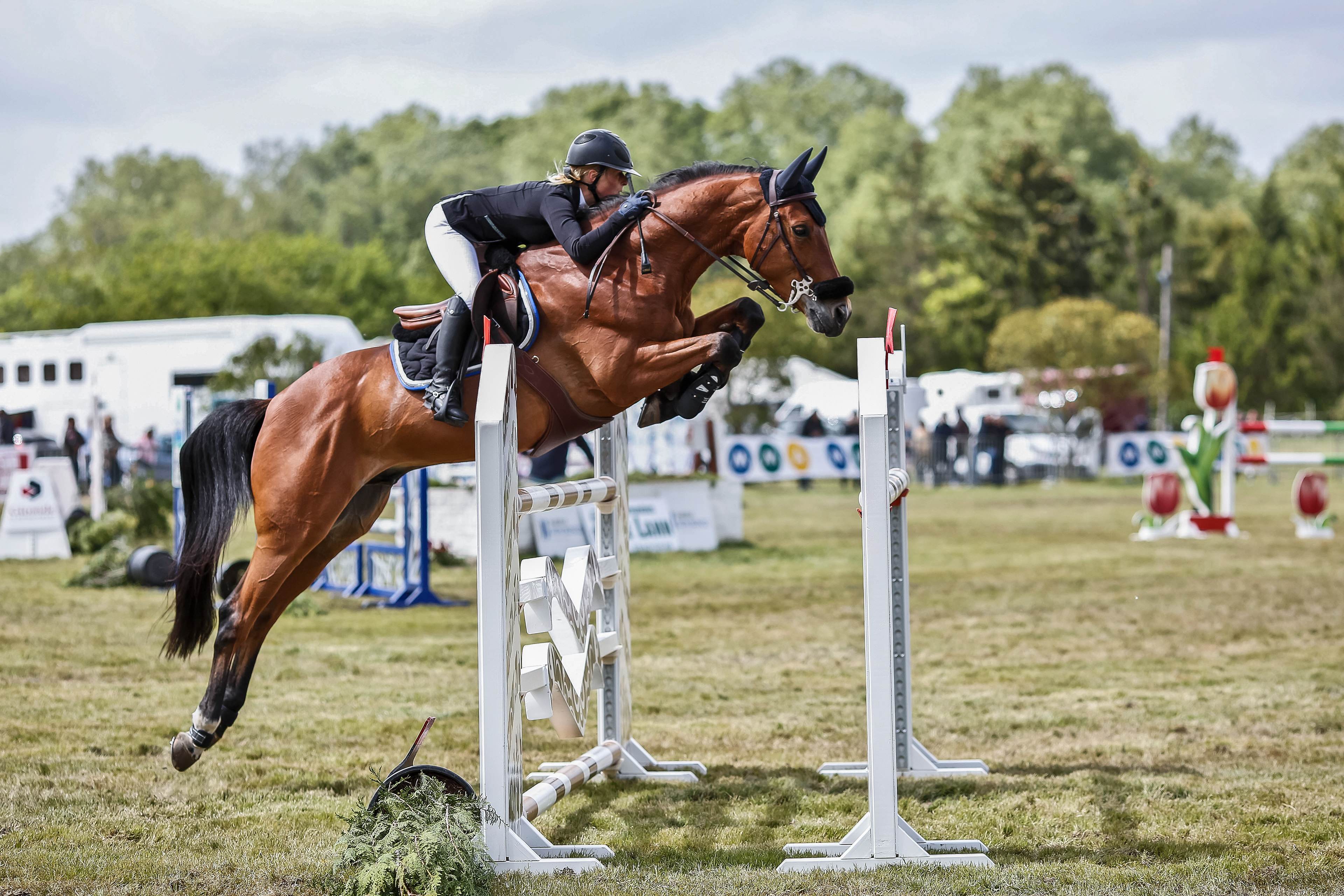 Photo événement équitation saut bordeaux