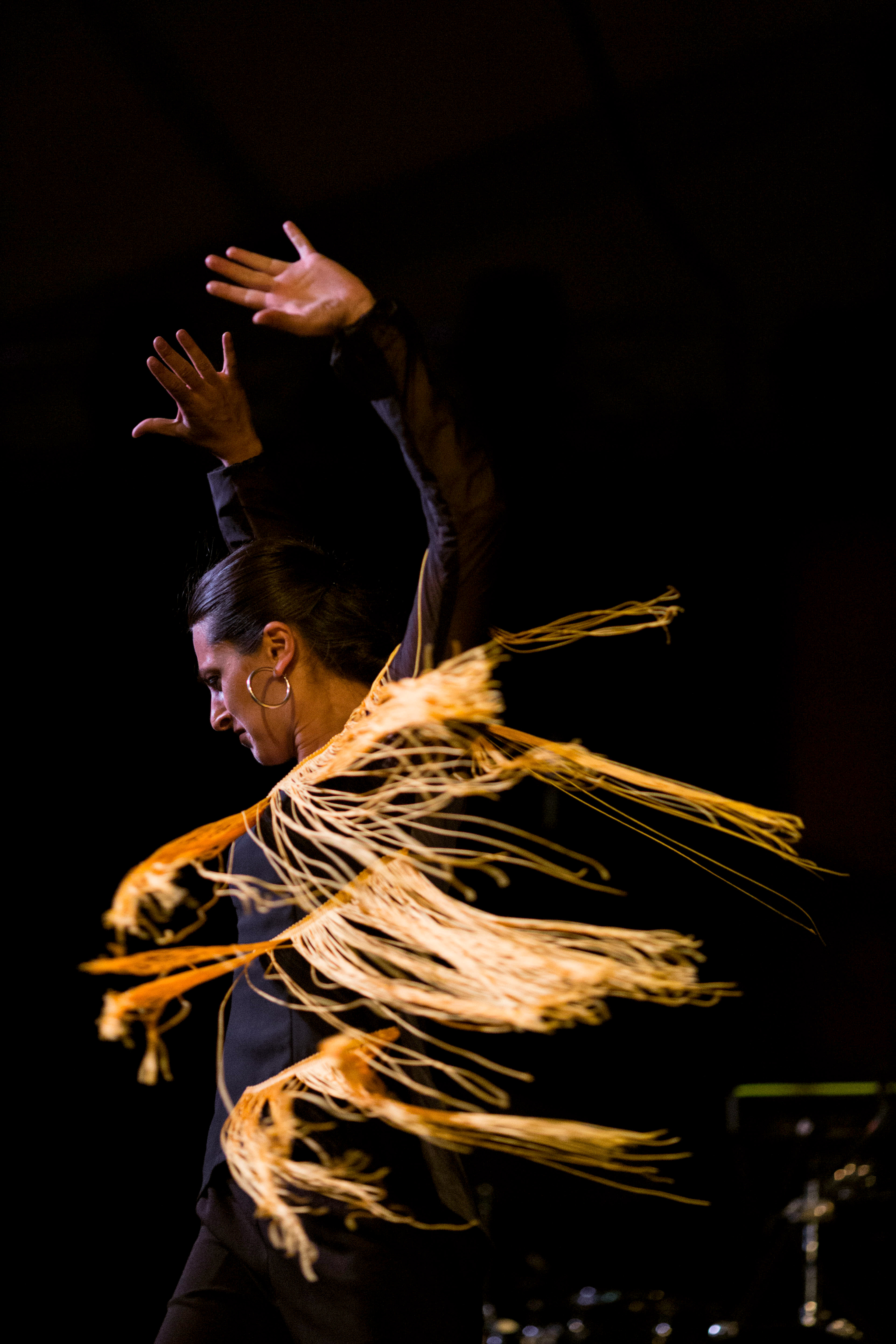 Photo concert danseuse flamenco bordeaux