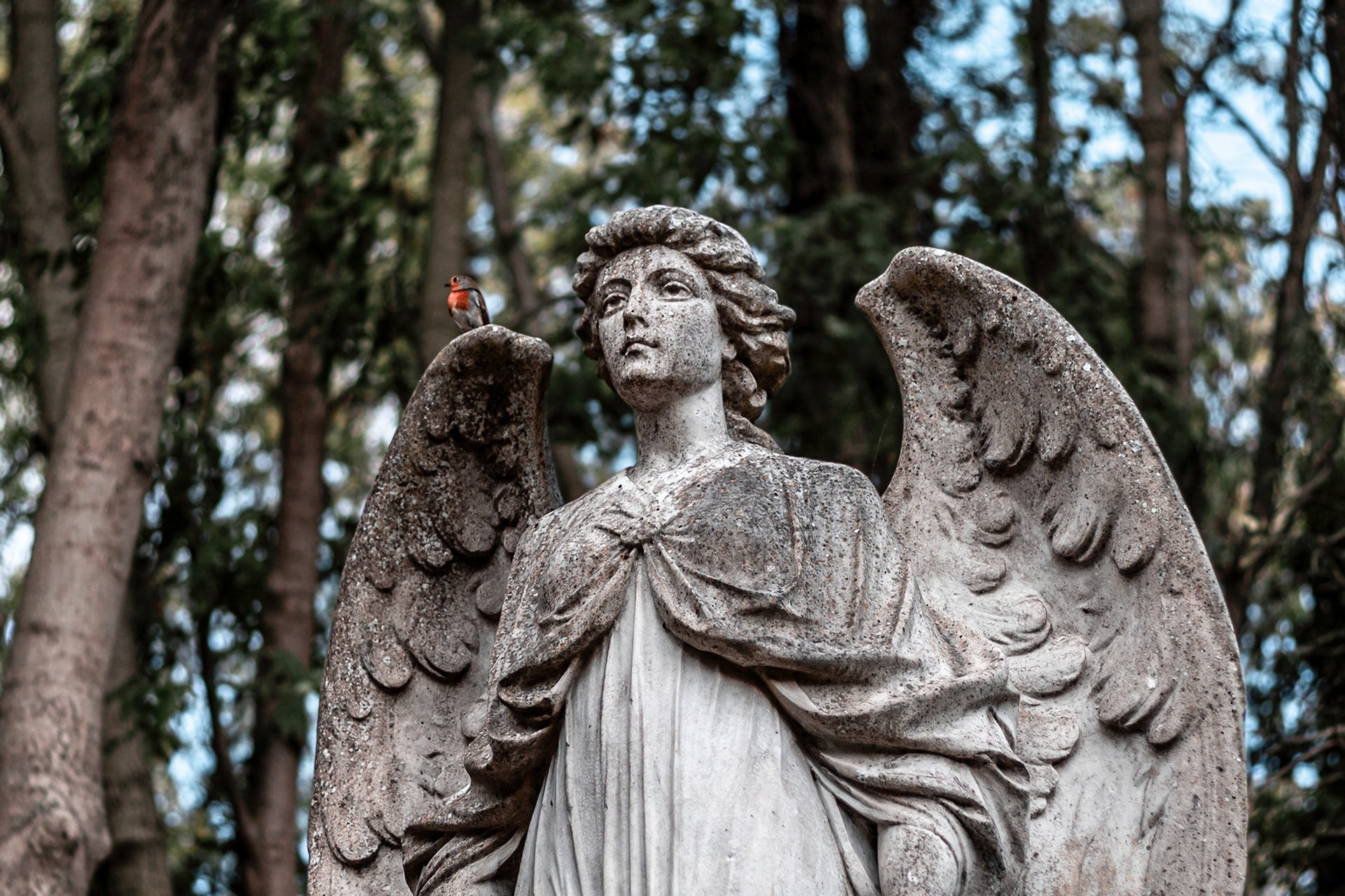 photo voyage statue ange rouge gorge londres cimetiere ailes