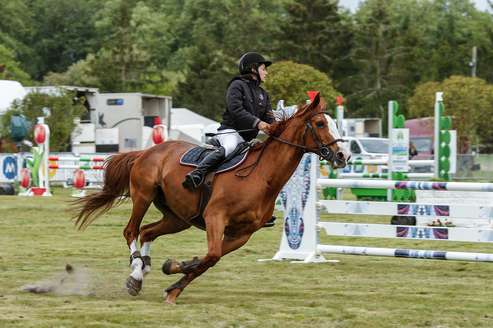 Photo événement équitation saut bordeaux cheval cavalier  obstacle gradignan jumping galop