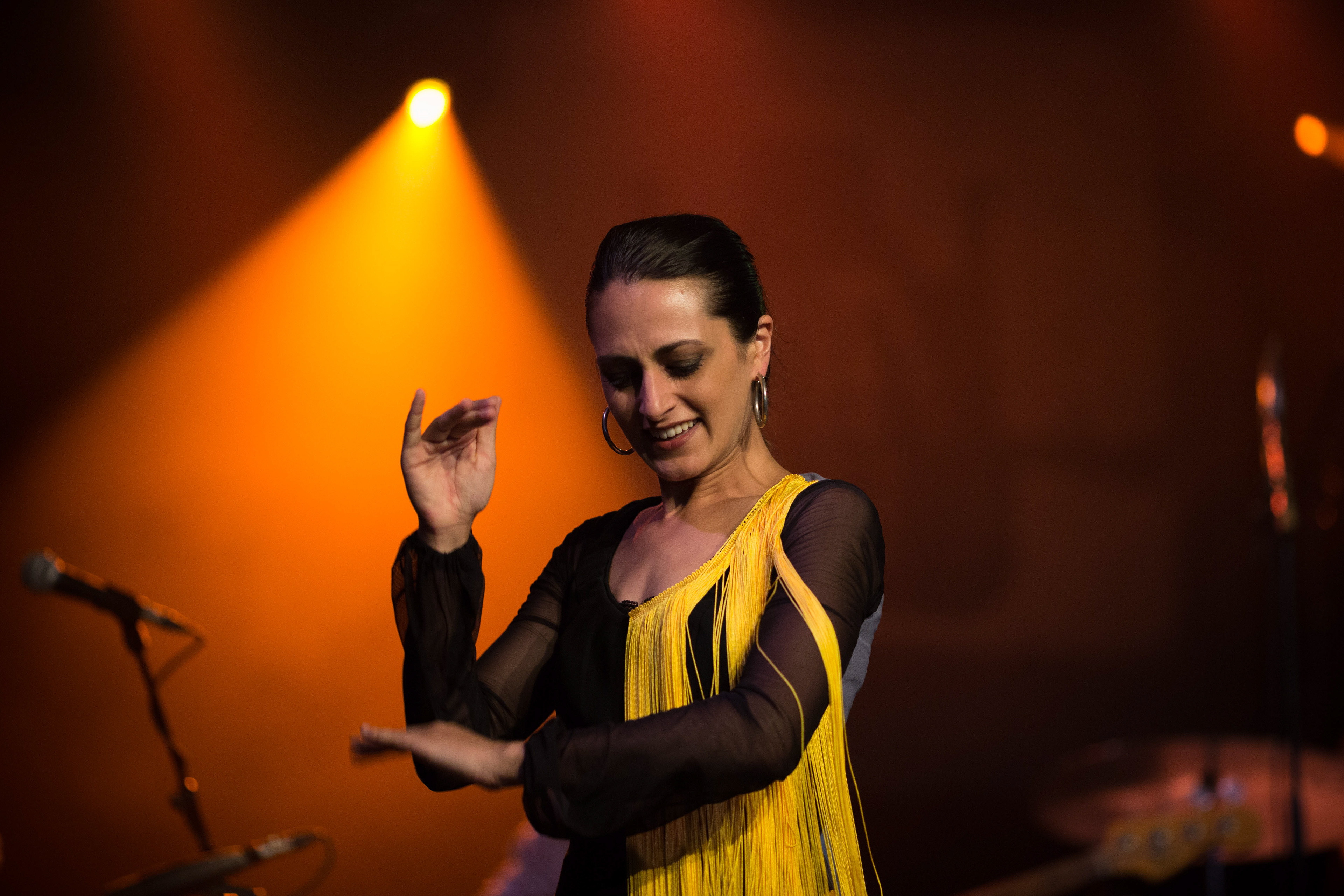 Photo concert danseuse flamenco PlanF bordeaux Festival 