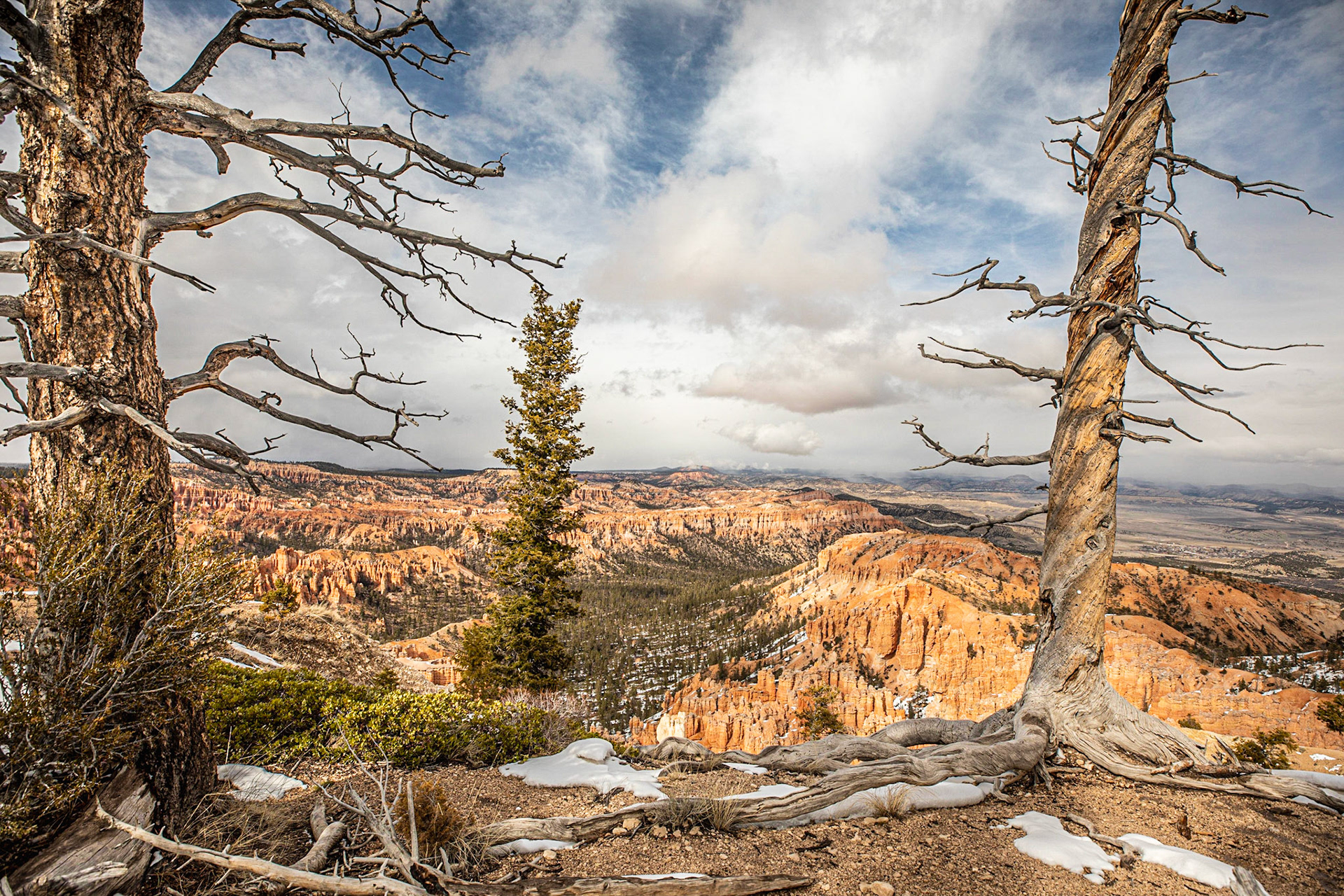 One of my favorites of Bryce Canyon with the framing by the trees.