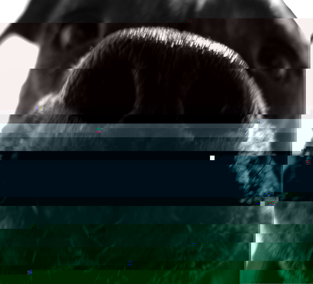 Moronzine Logo, process image 6 of 7
