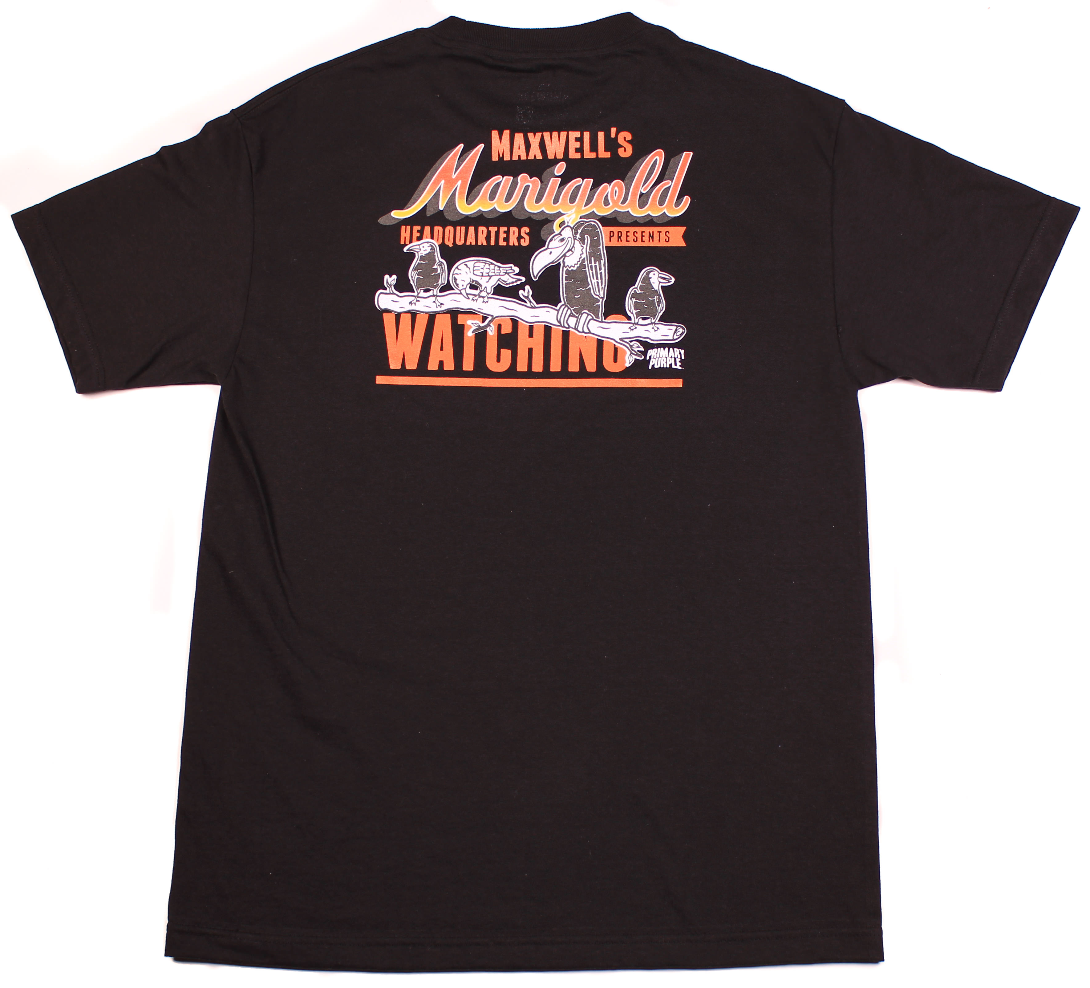 Maxwells Marigold Headquarters Watching - 9
