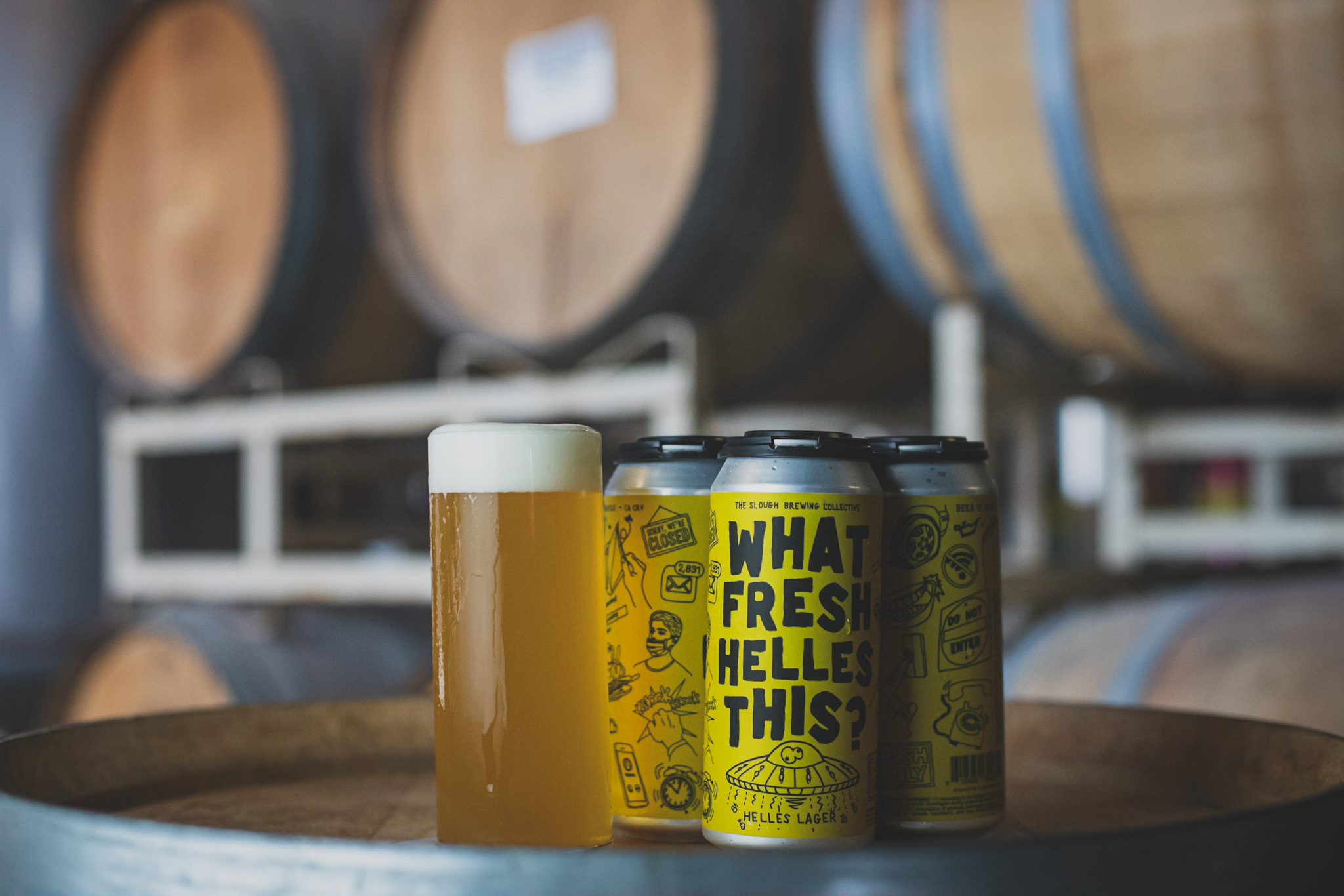 WHAT FRESH HELLES THIS? Helles Lager, Label, process image 22 of 22