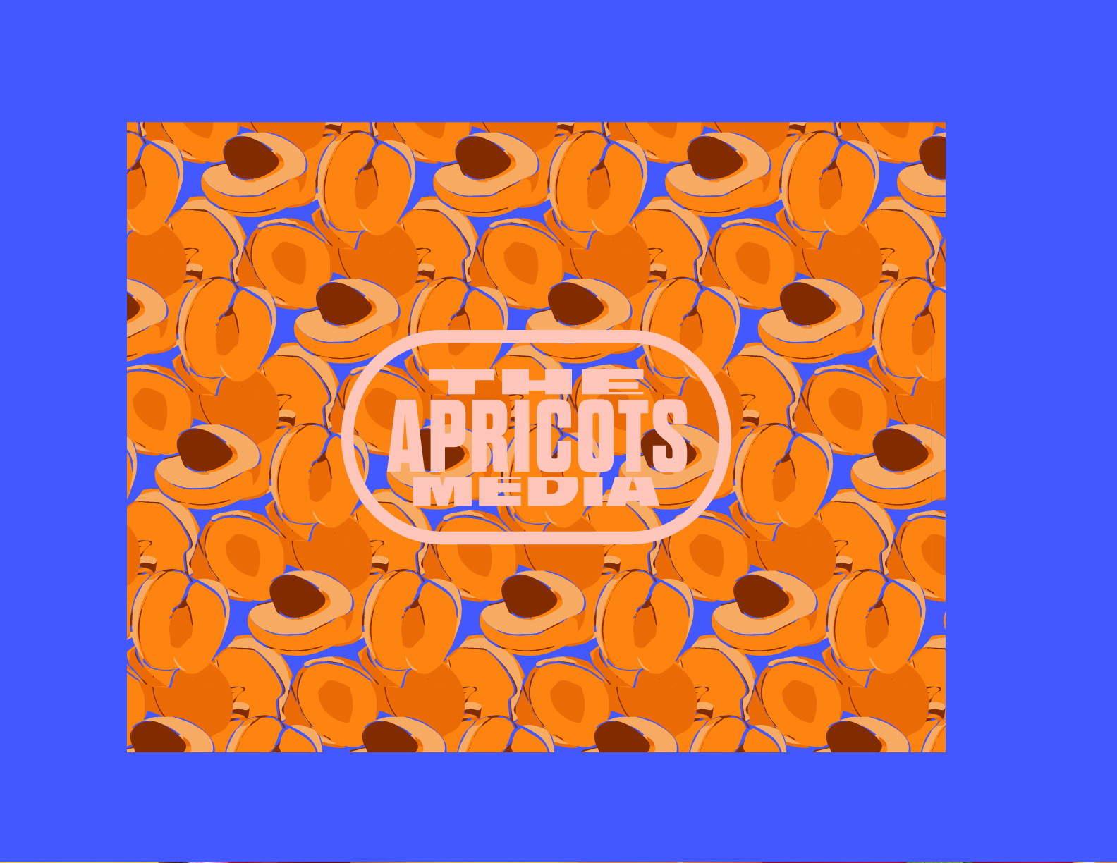 The Apricots Media, Branding, process image 10 of 15