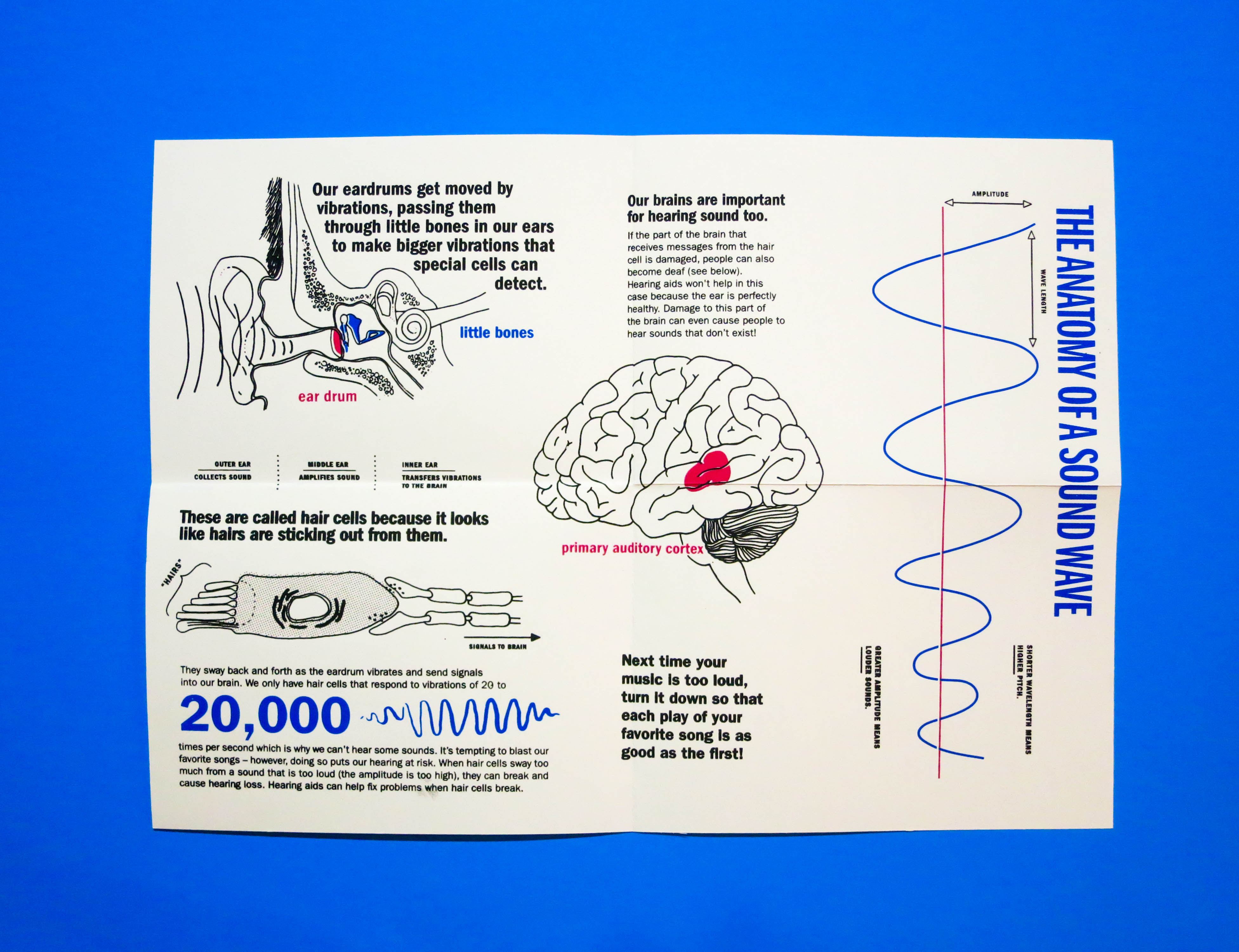 The Science Of Sounds Mini-Poster, process image 3 of 3
