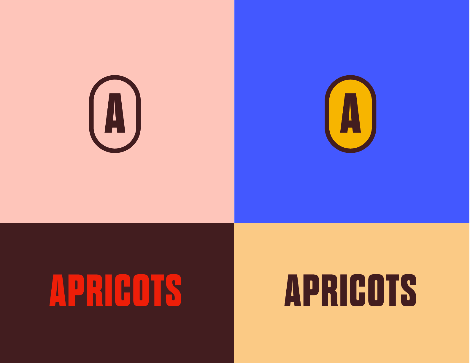 The Apricots Media, Branding, process image 5 of 15