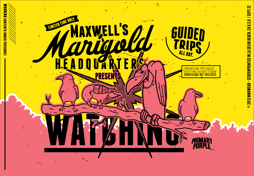 Maxwells Marigold Headquarters Watching - 15