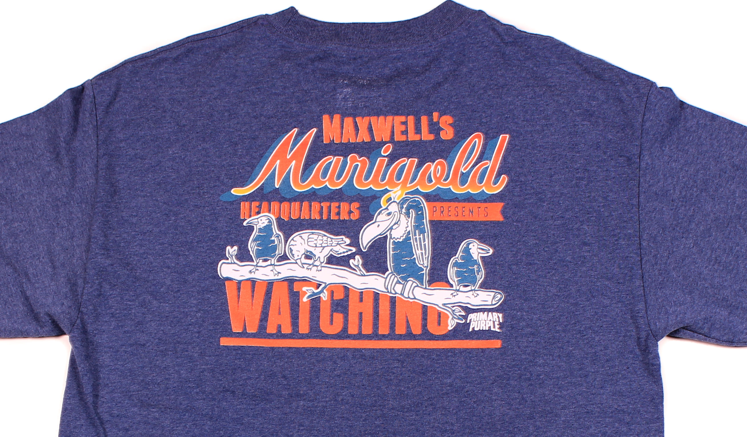 Maxwells Marigold Headquarters Watching - 11