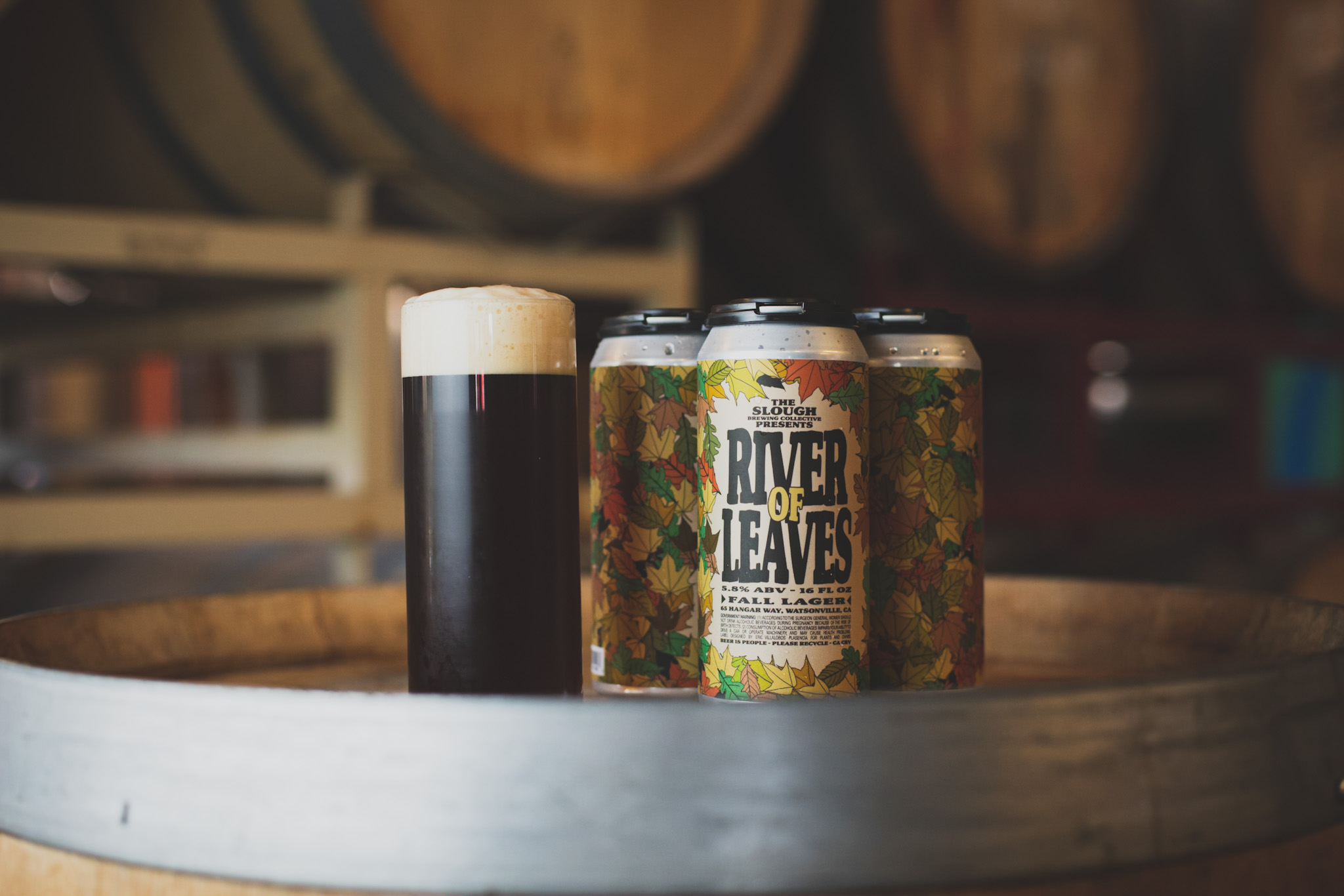 River of Leaves Fall Lager Label, The Slough, process image 3 of 3