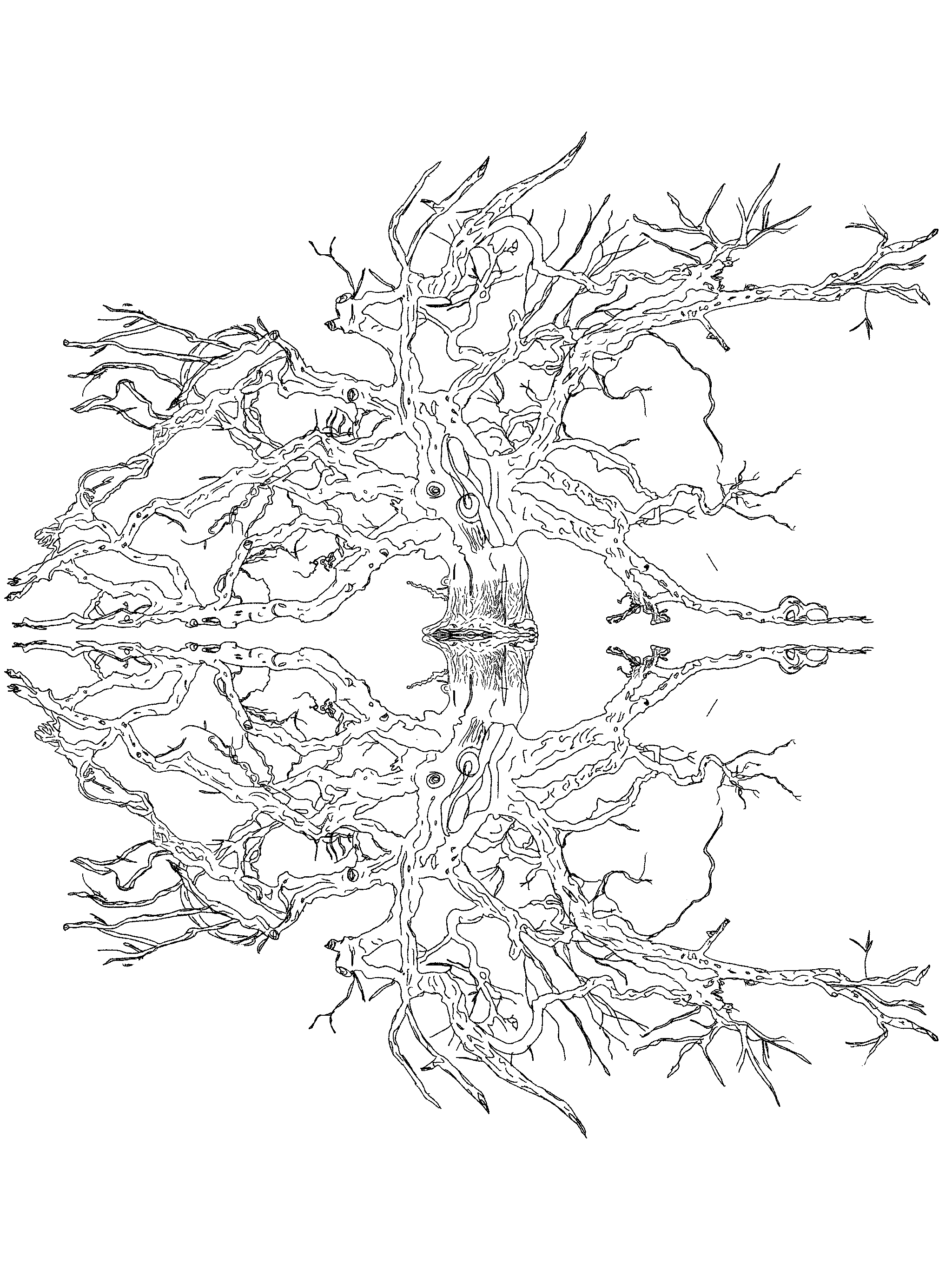 Crooked Symmetry, The Slough X Yeast of Eden, process image 5 of 10