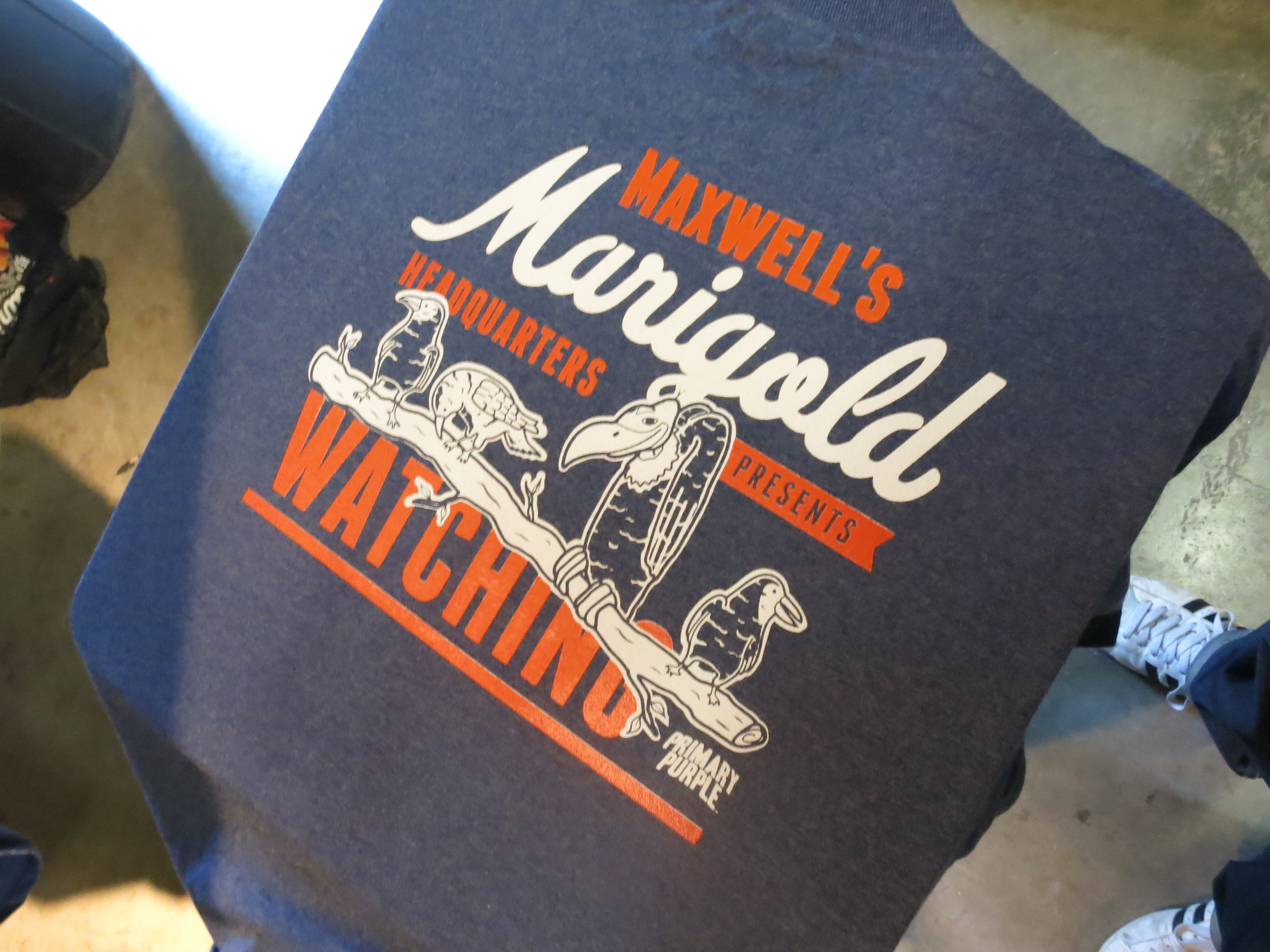 Maxwells Marigold Headquarters Watching - 16