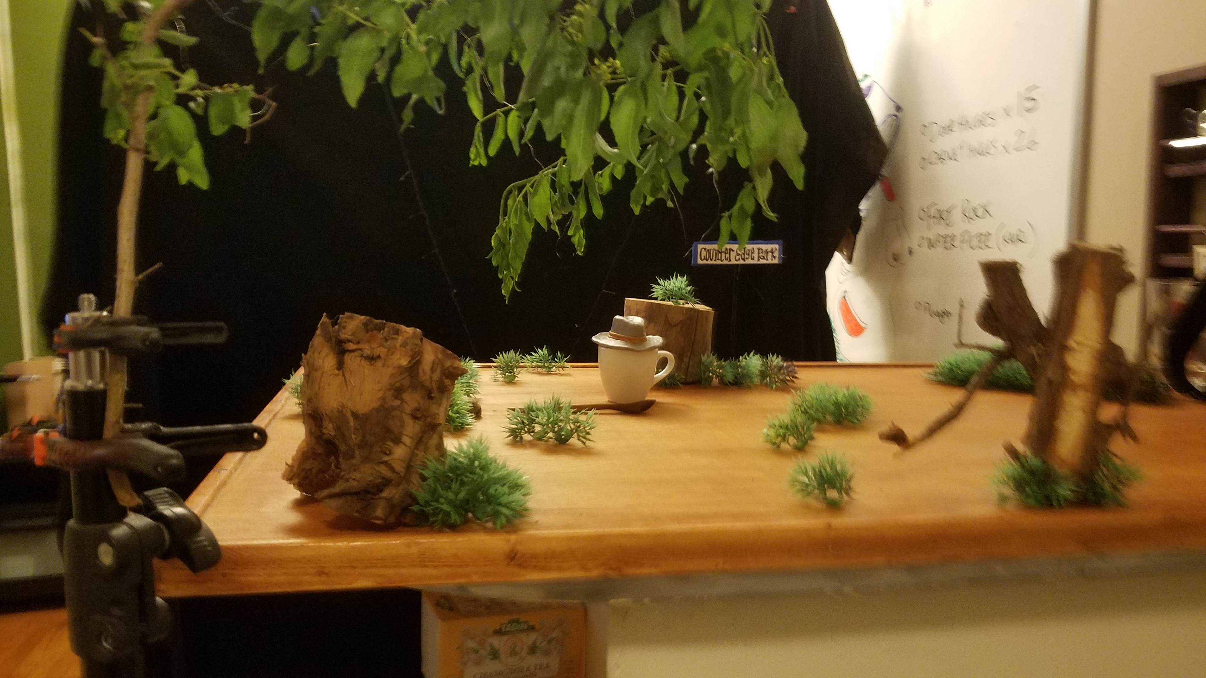 "Park" set
