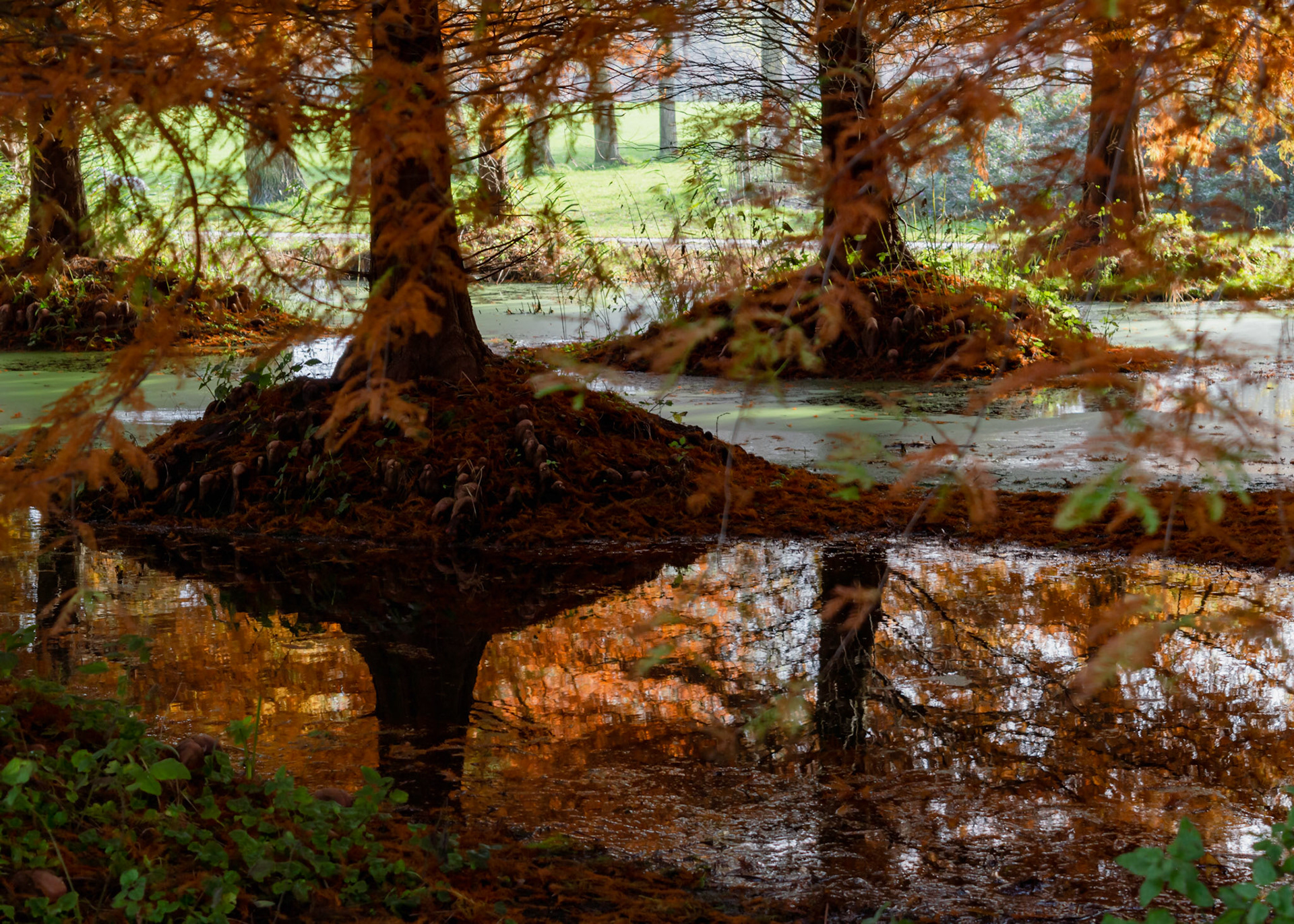 Hidden gems in Westerpark, Amsterdam