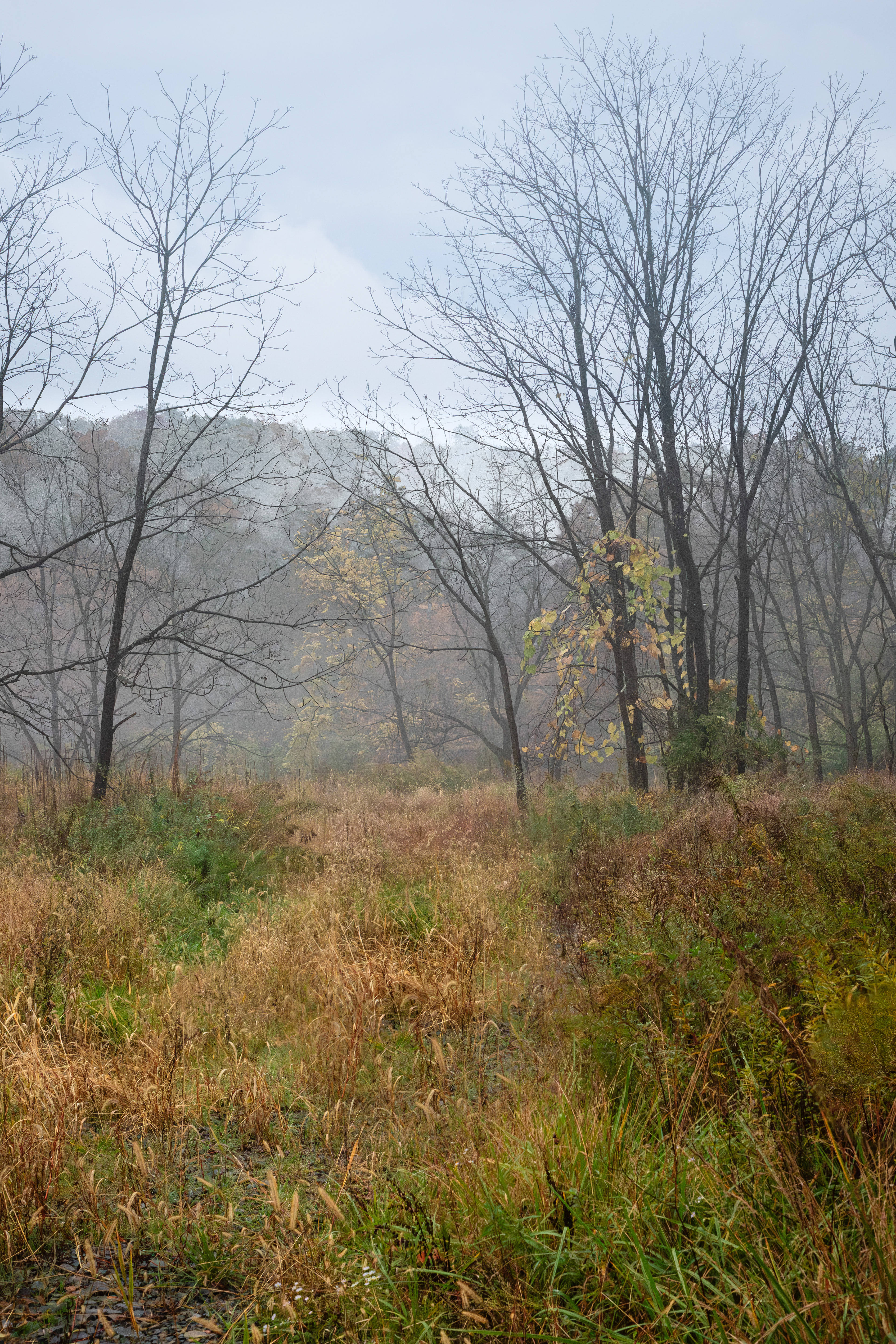 The Path to Foggy Bottom