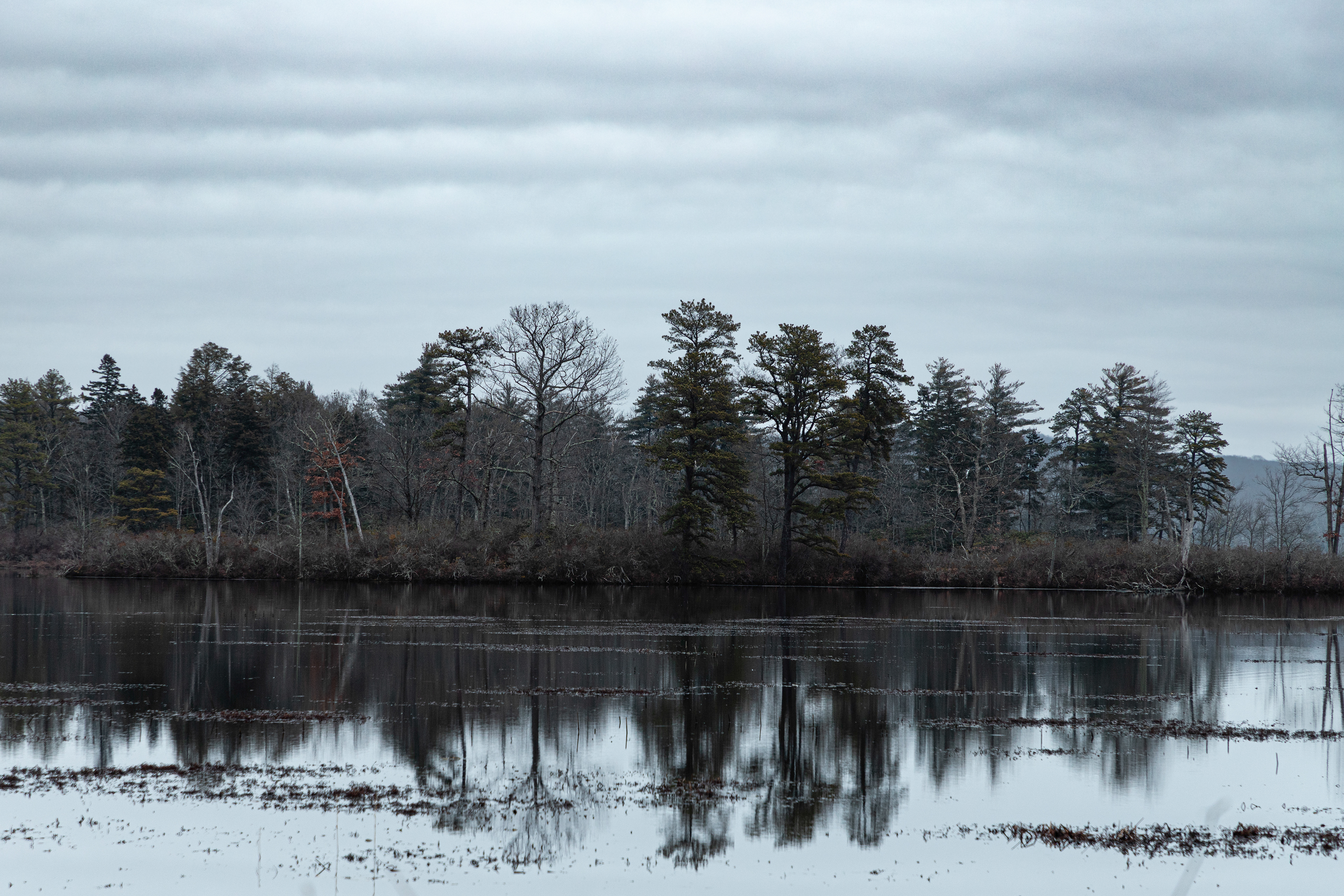 Waiting for the "Cold Moon" Moonrise