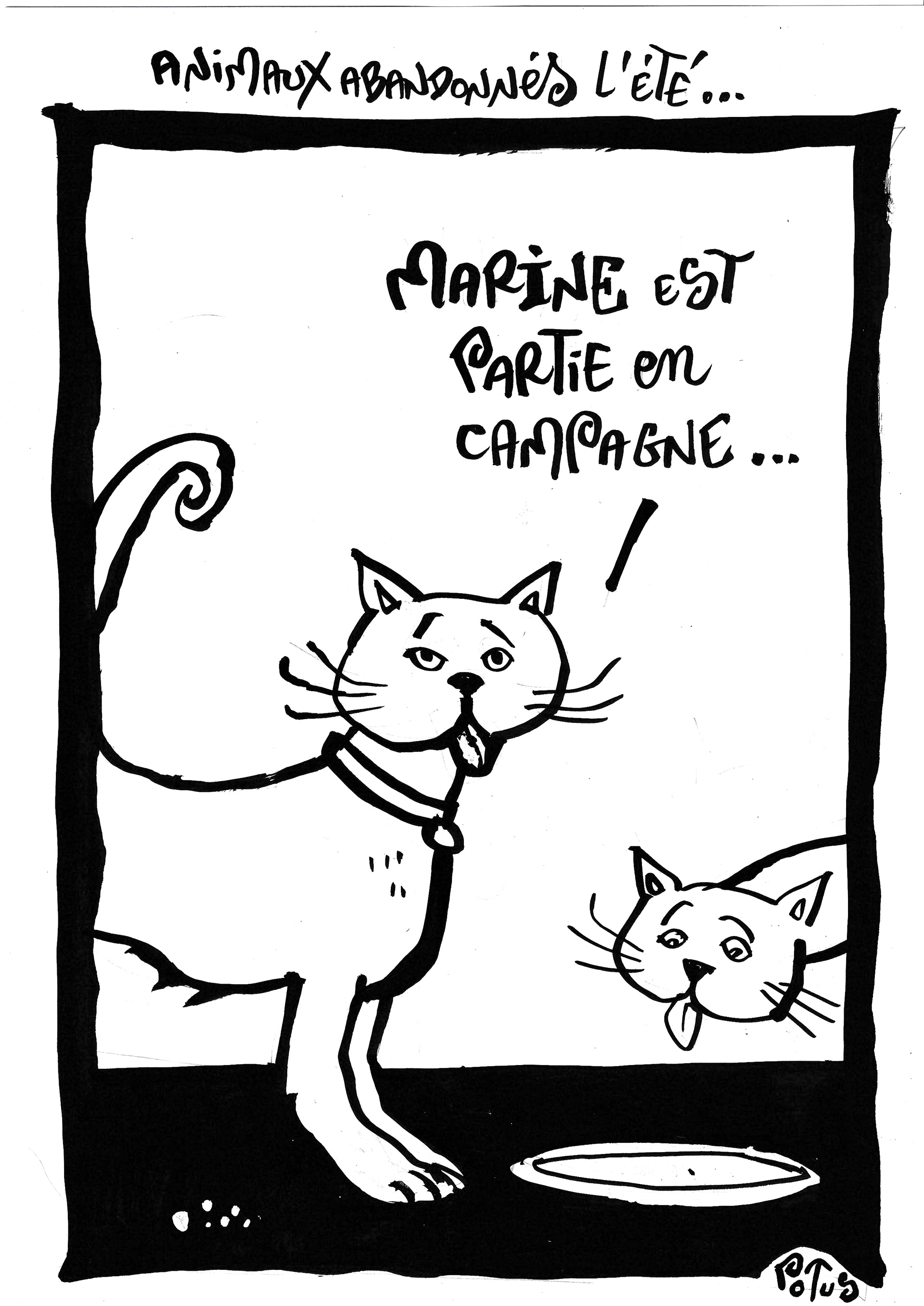Animaux abandonnés l'été...