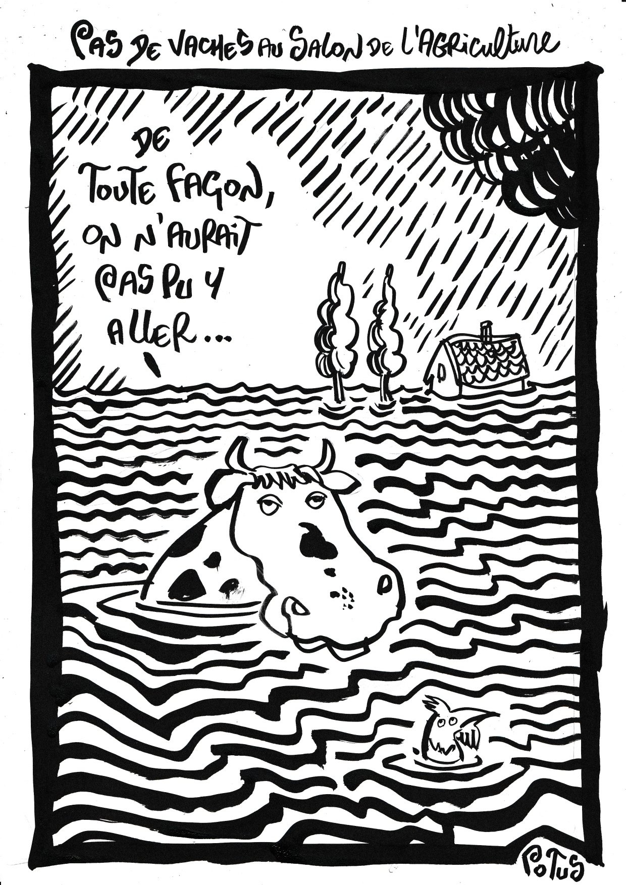 Pas de vaches au salon de l'agriculture