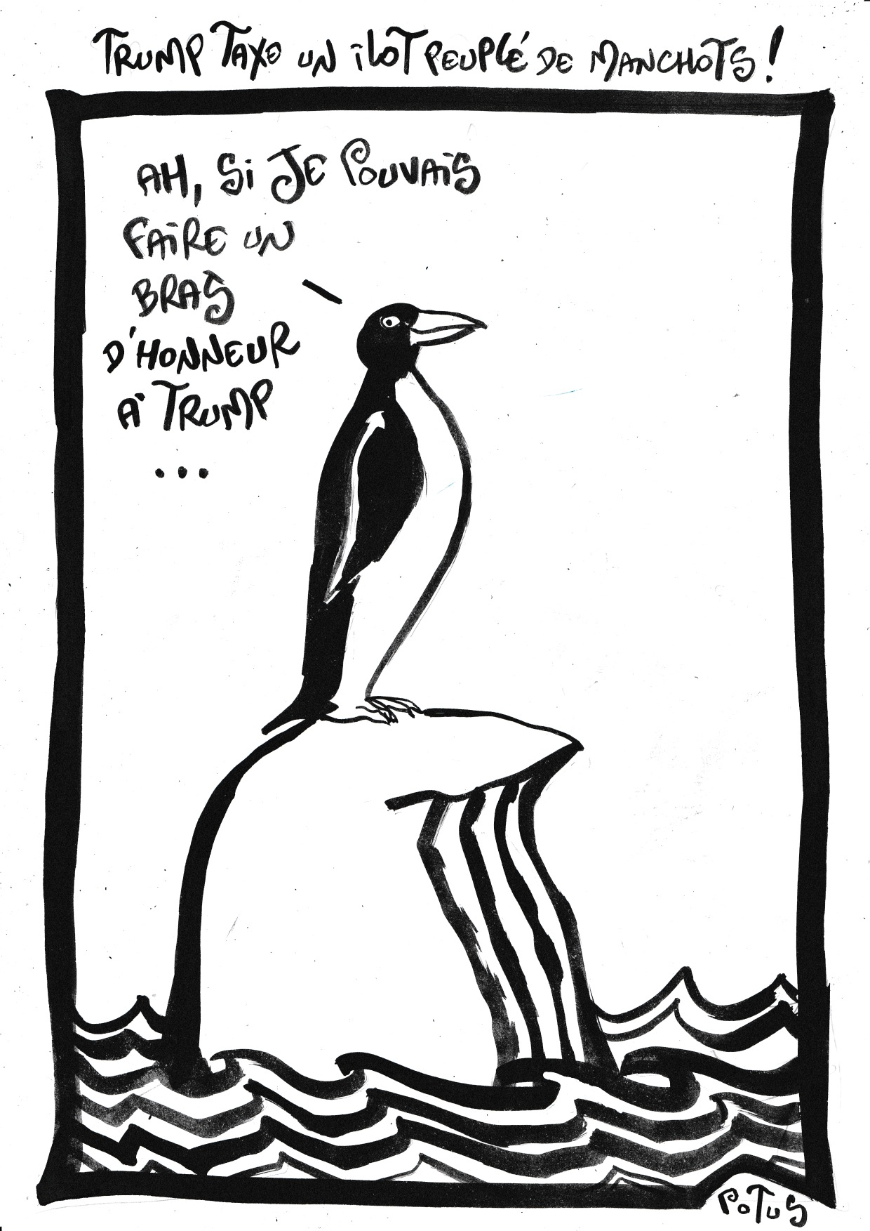 Trump taxe un îlot peuplé de manchots !