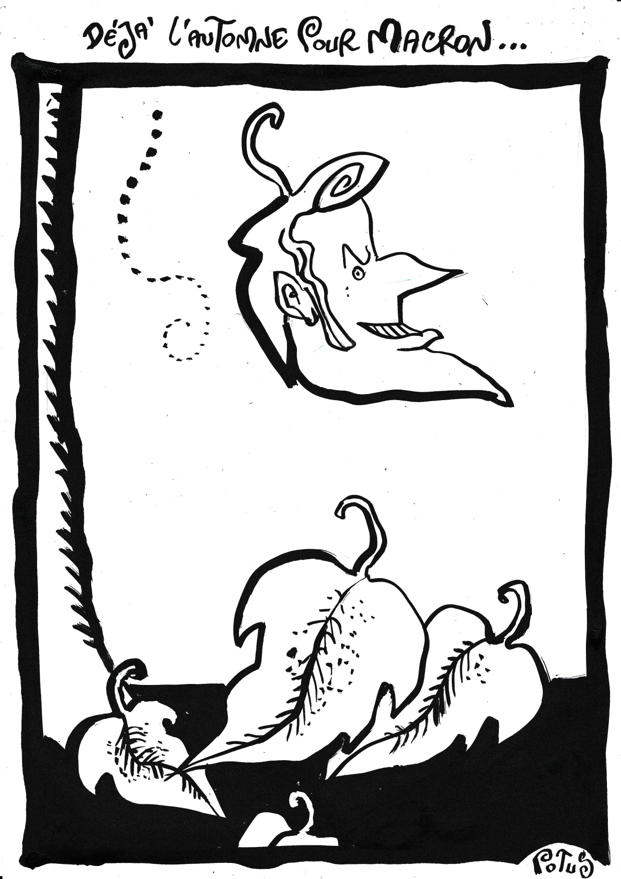 Déjà l'automne pour Macron...