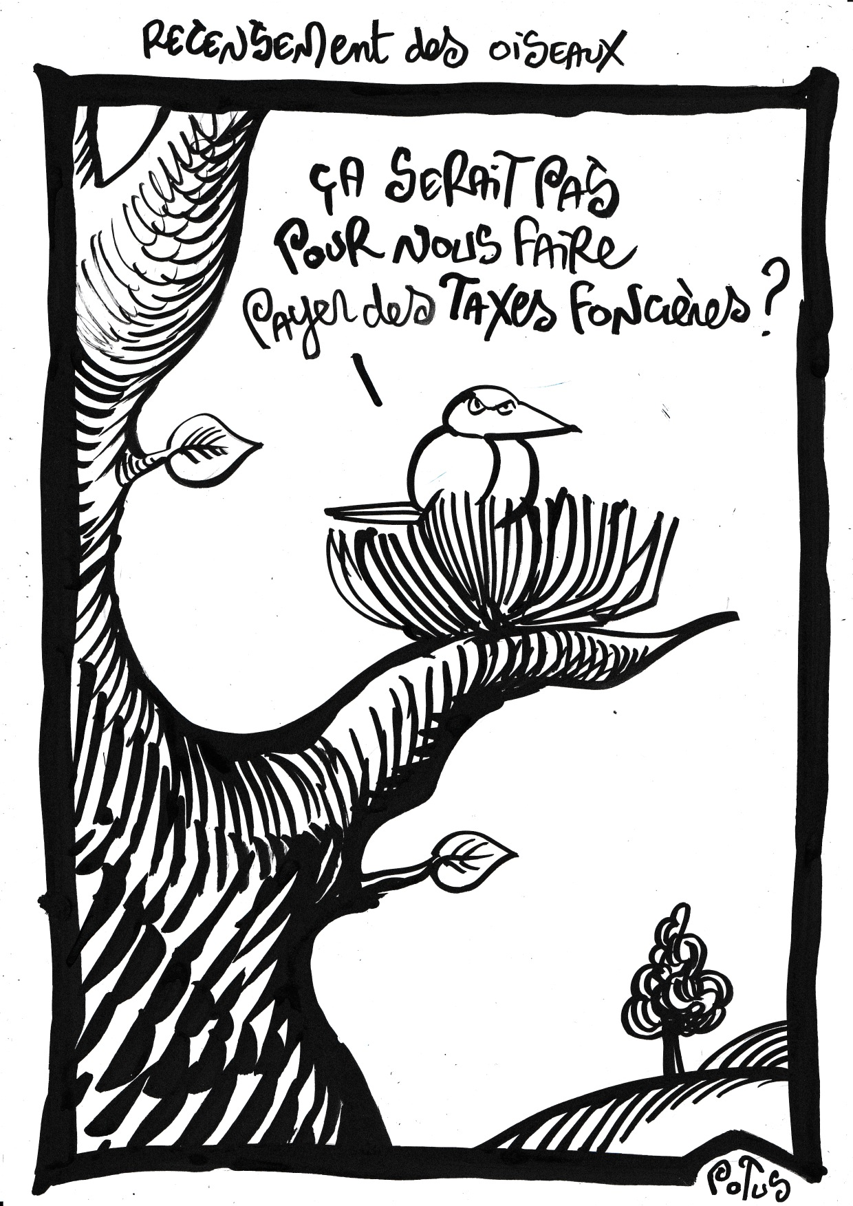 Recensement des oiseaux