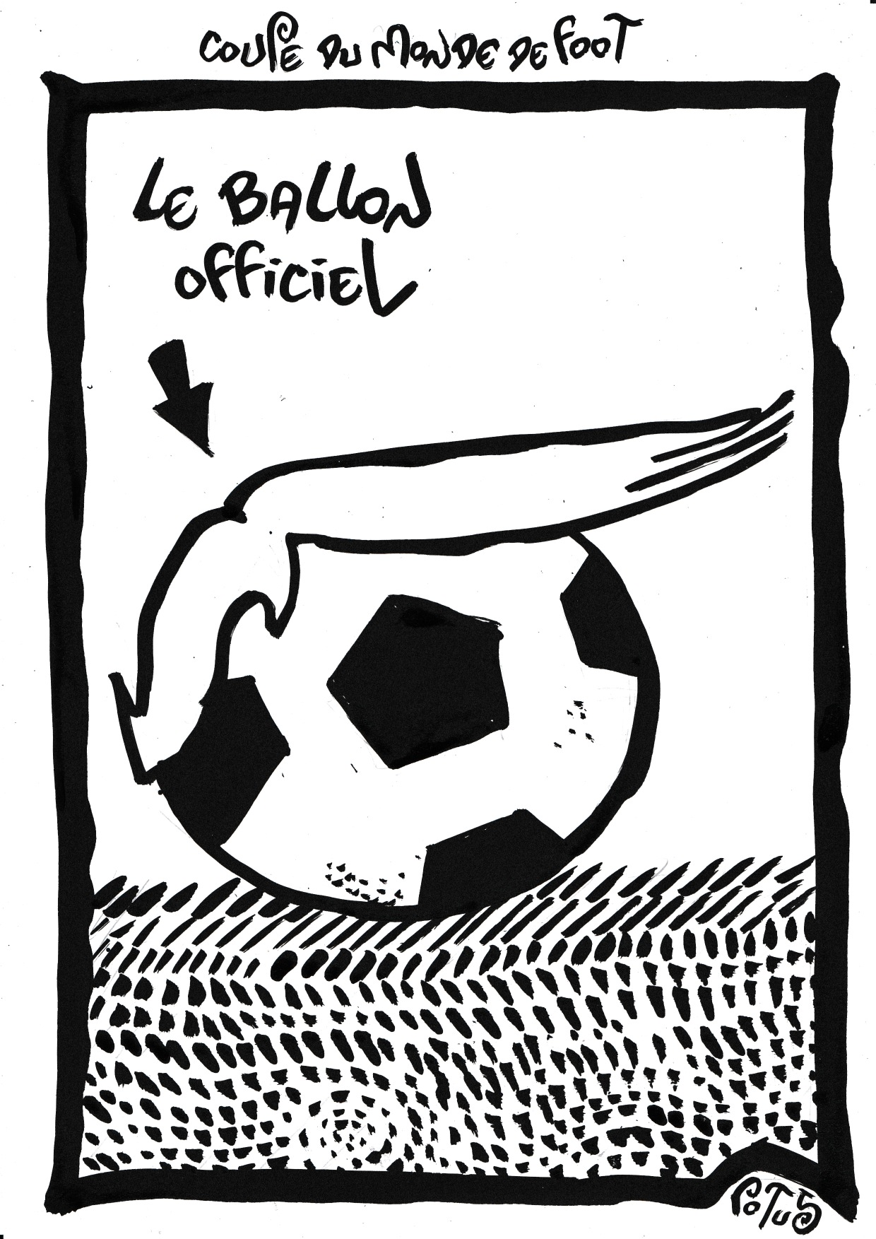 Coupe du monde de foot