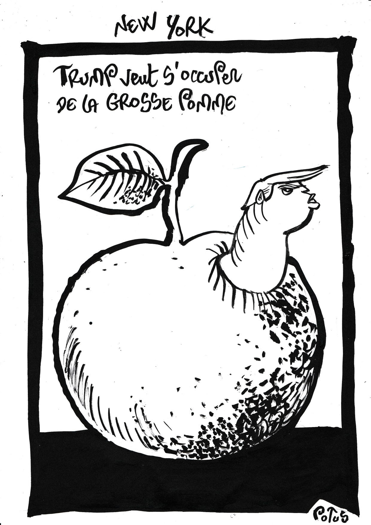 Élections Municipales à New York