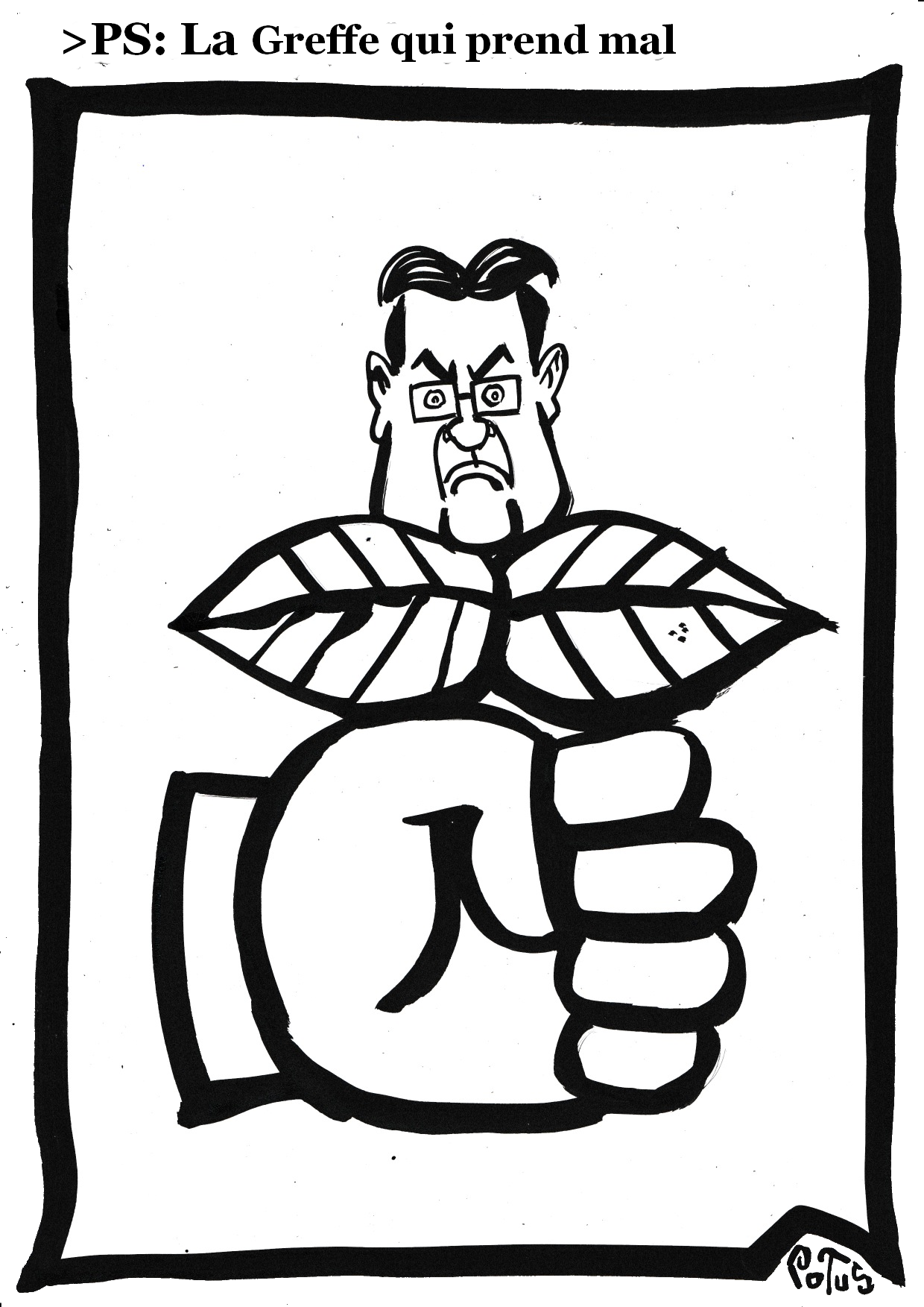 Parti socialiste : La greffe qui prend mal