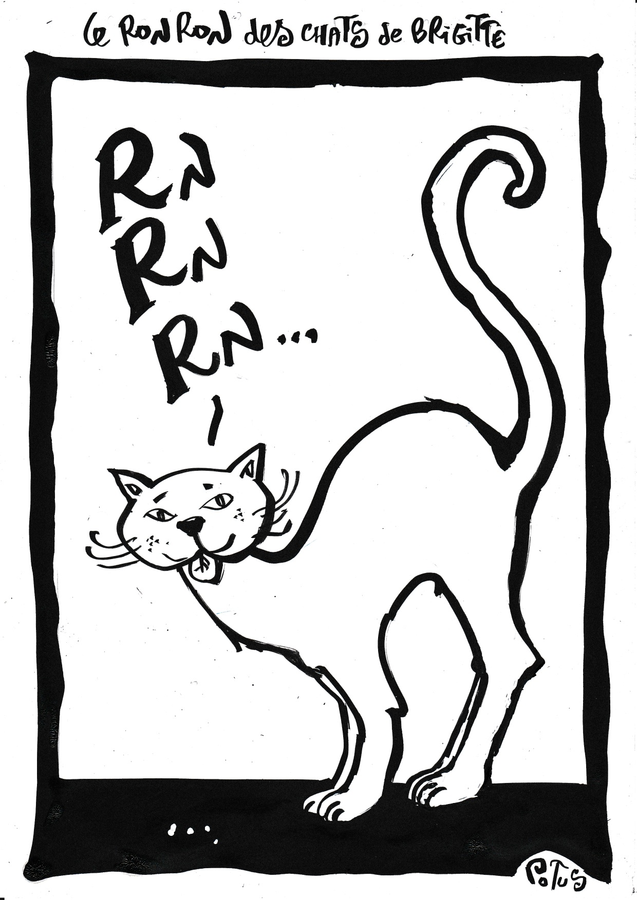 Le RonRon des chats de Brigitte