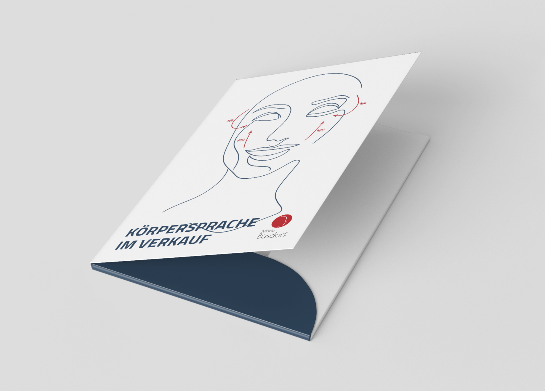 illustration & workshop folder for facial expressions & sales expert