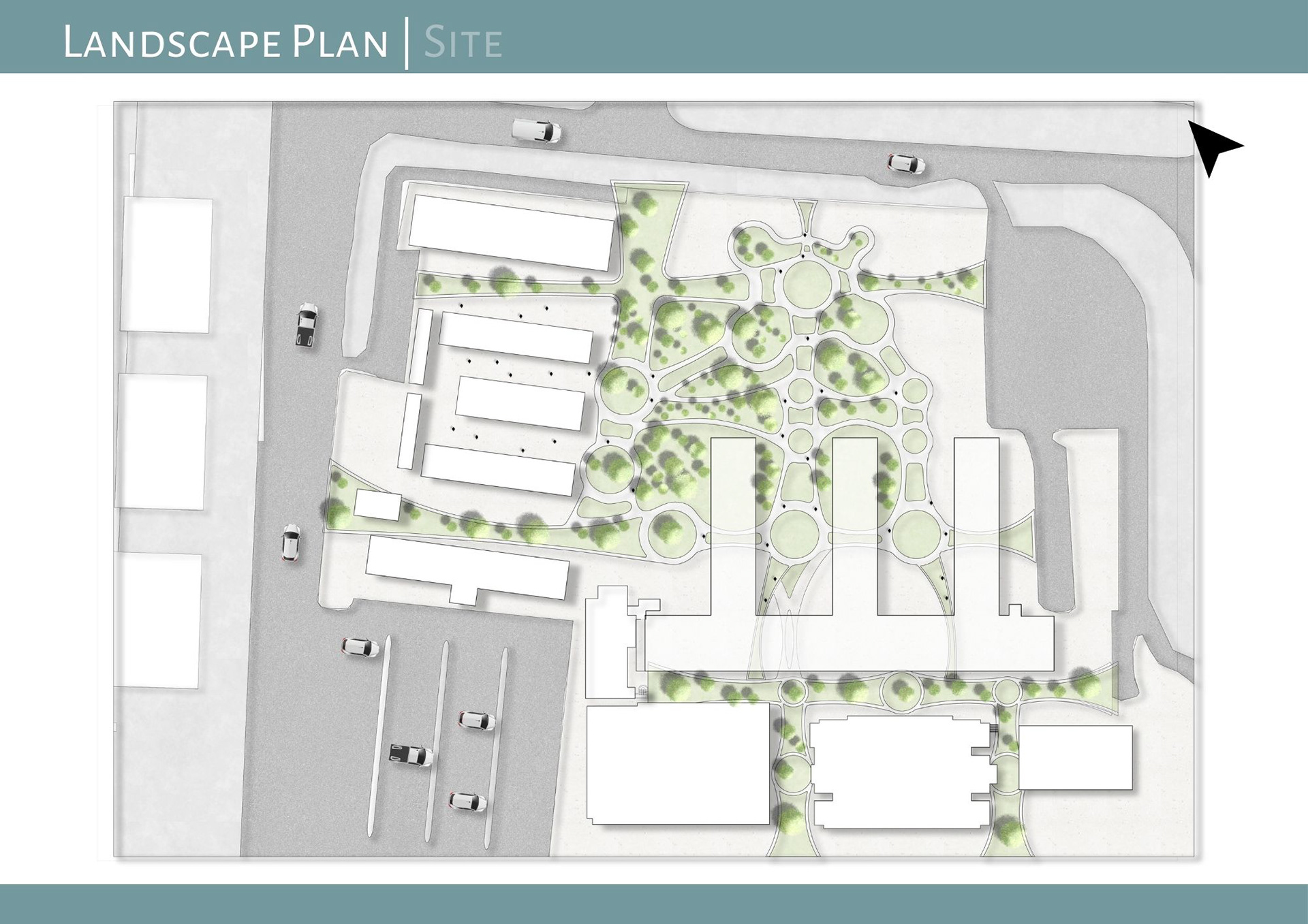 Landscape Plan