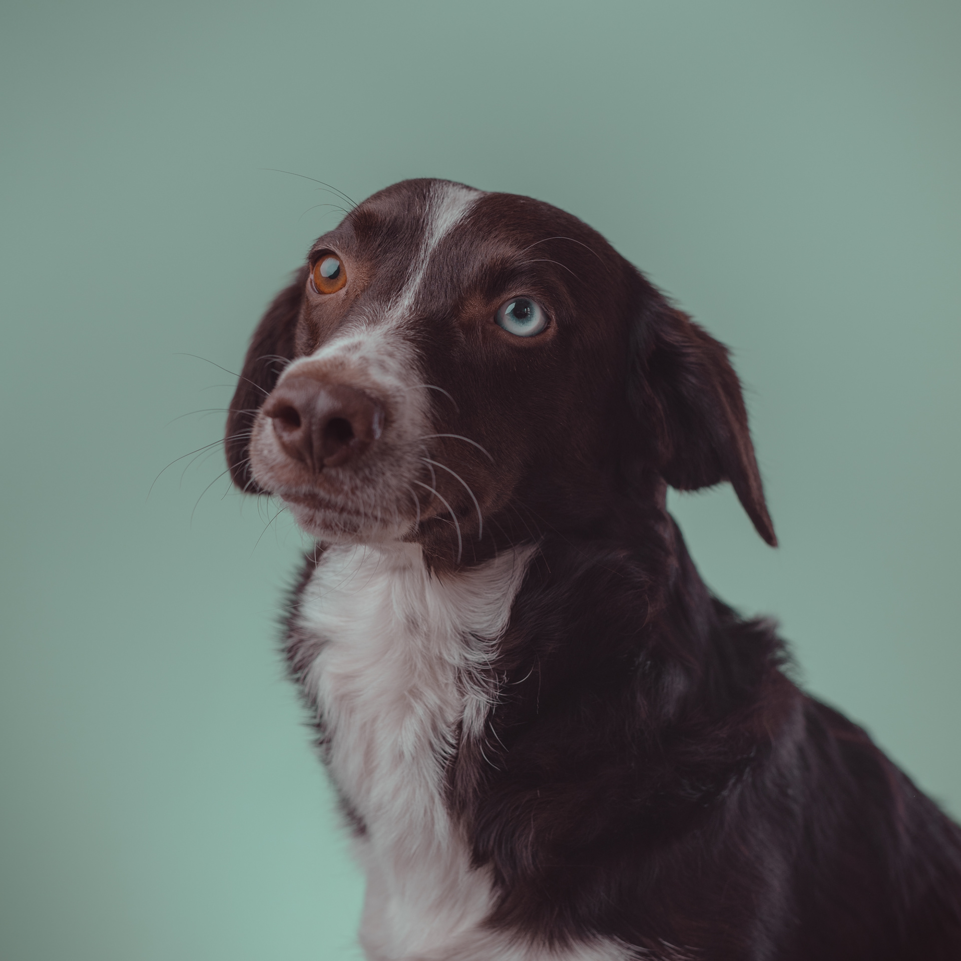 Rita / Empathy Developer