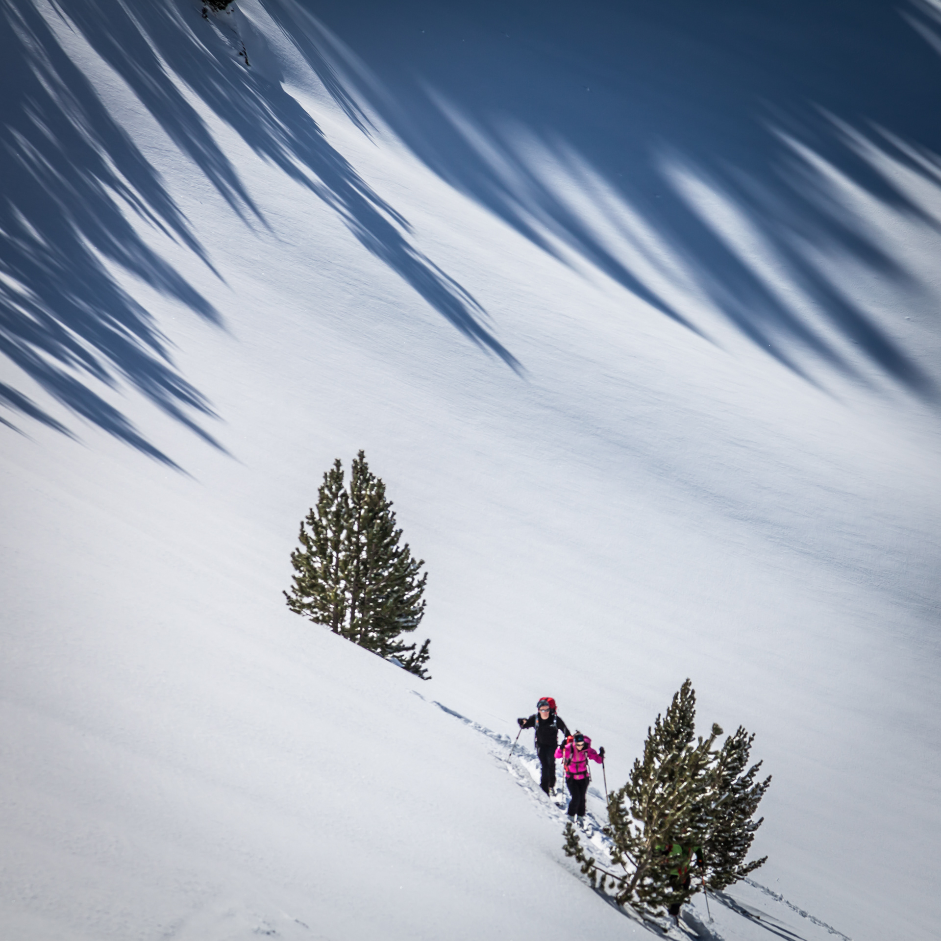 Ski, Encantats